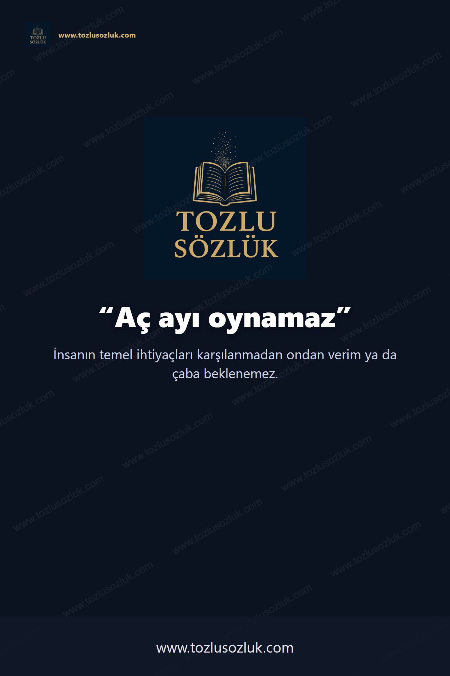 Aç ayı oynamaz Pinterest görseli