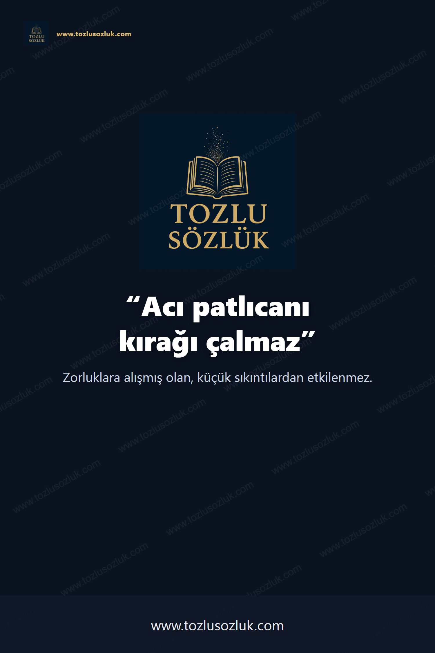 Acı patlıcanı kırağı çalmaz Pinterest görseli