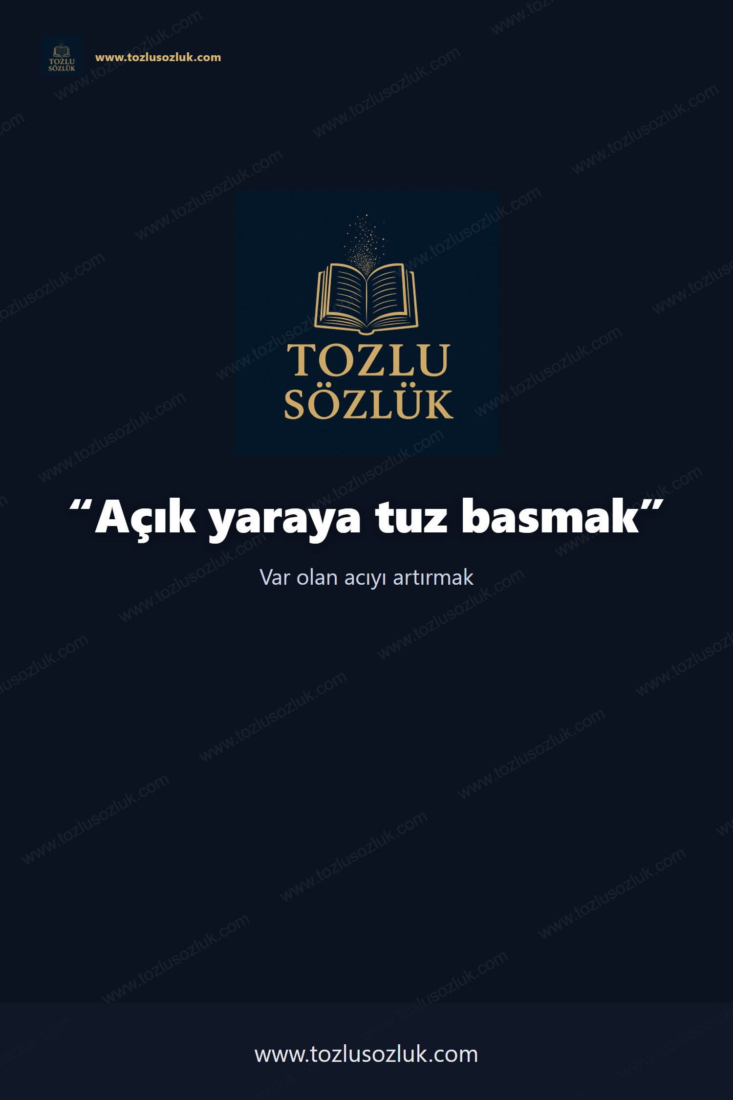 Açık yaraya tuz basmak Pinterest görseli