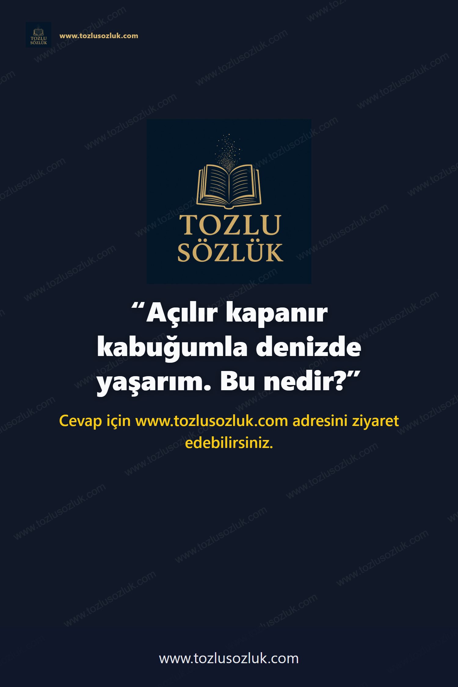 Açılır kapanır kabuğumla denizde yaşarım. Bu nedir? Pinterest görseli