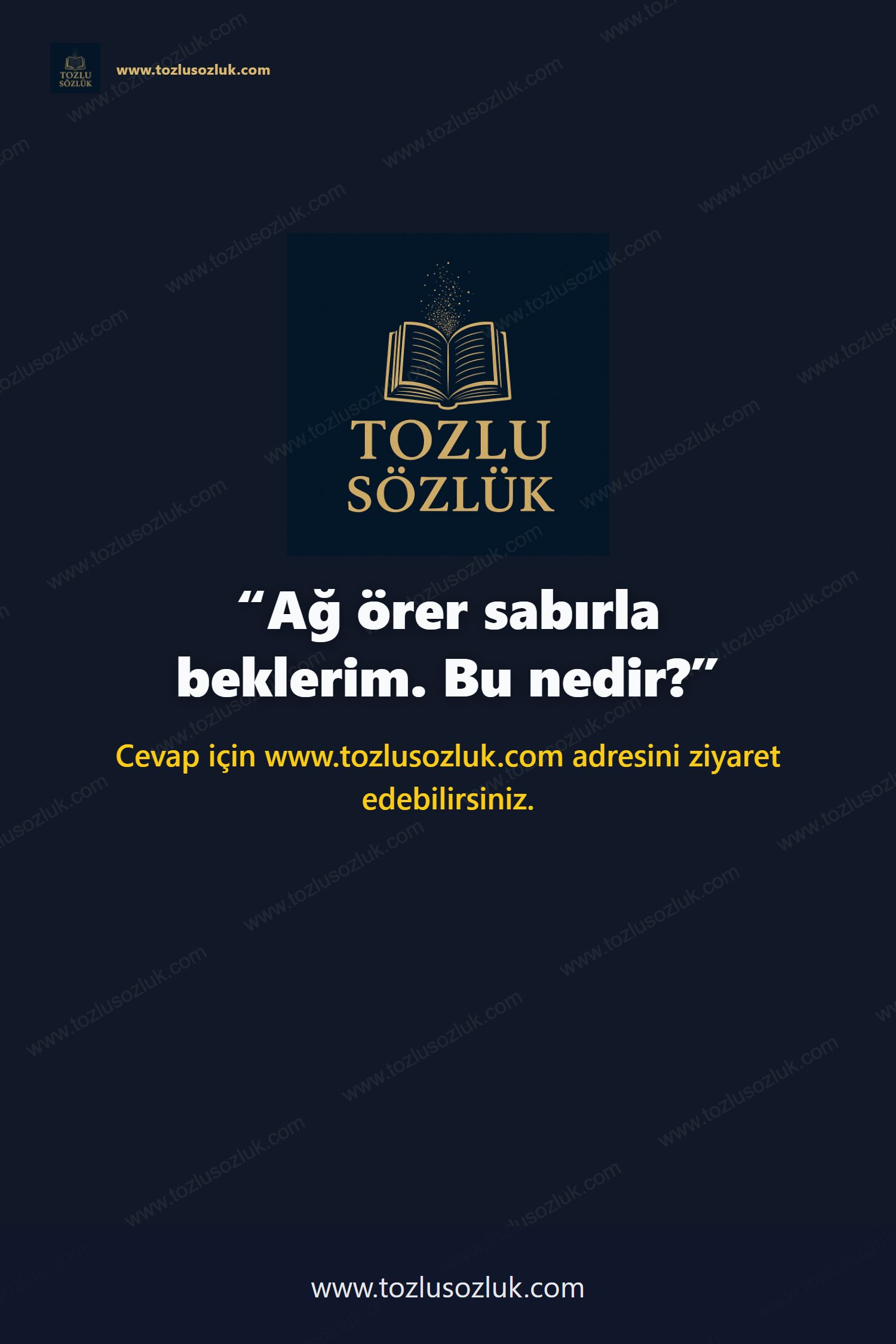 Ağ örer sabırla beklerim. Bu nedir? Pinterest görseli