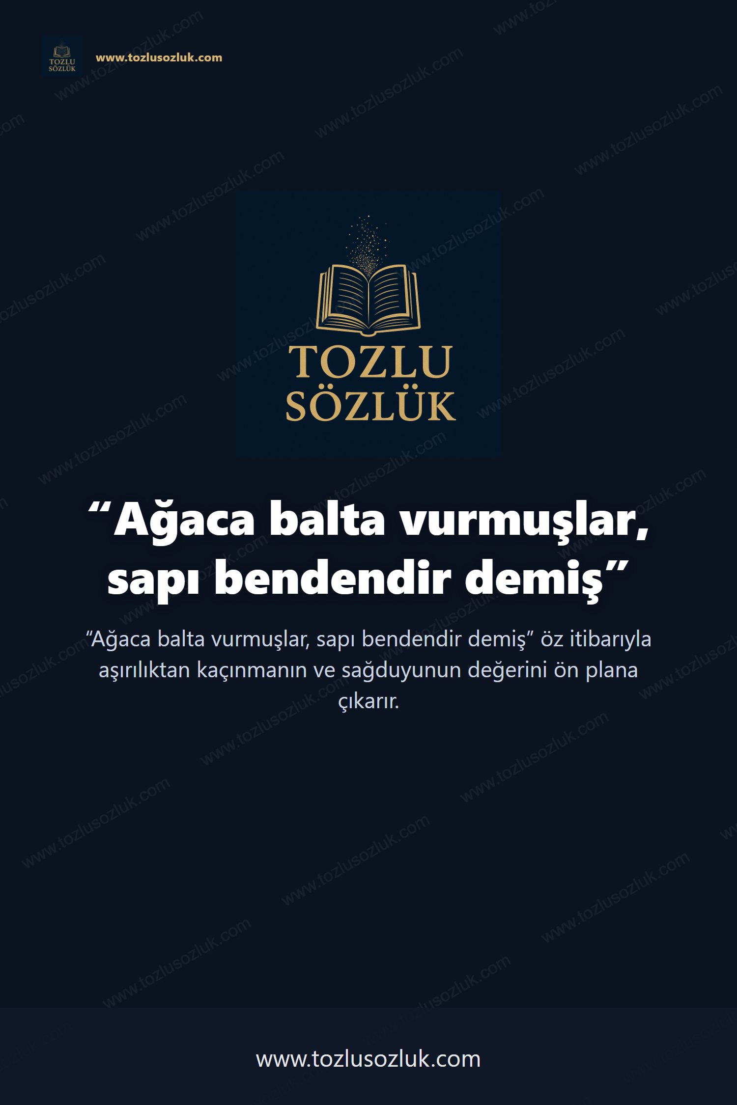 Ağaca balta vurmuşlar, sapı bendendir demiş Pinterest görseli