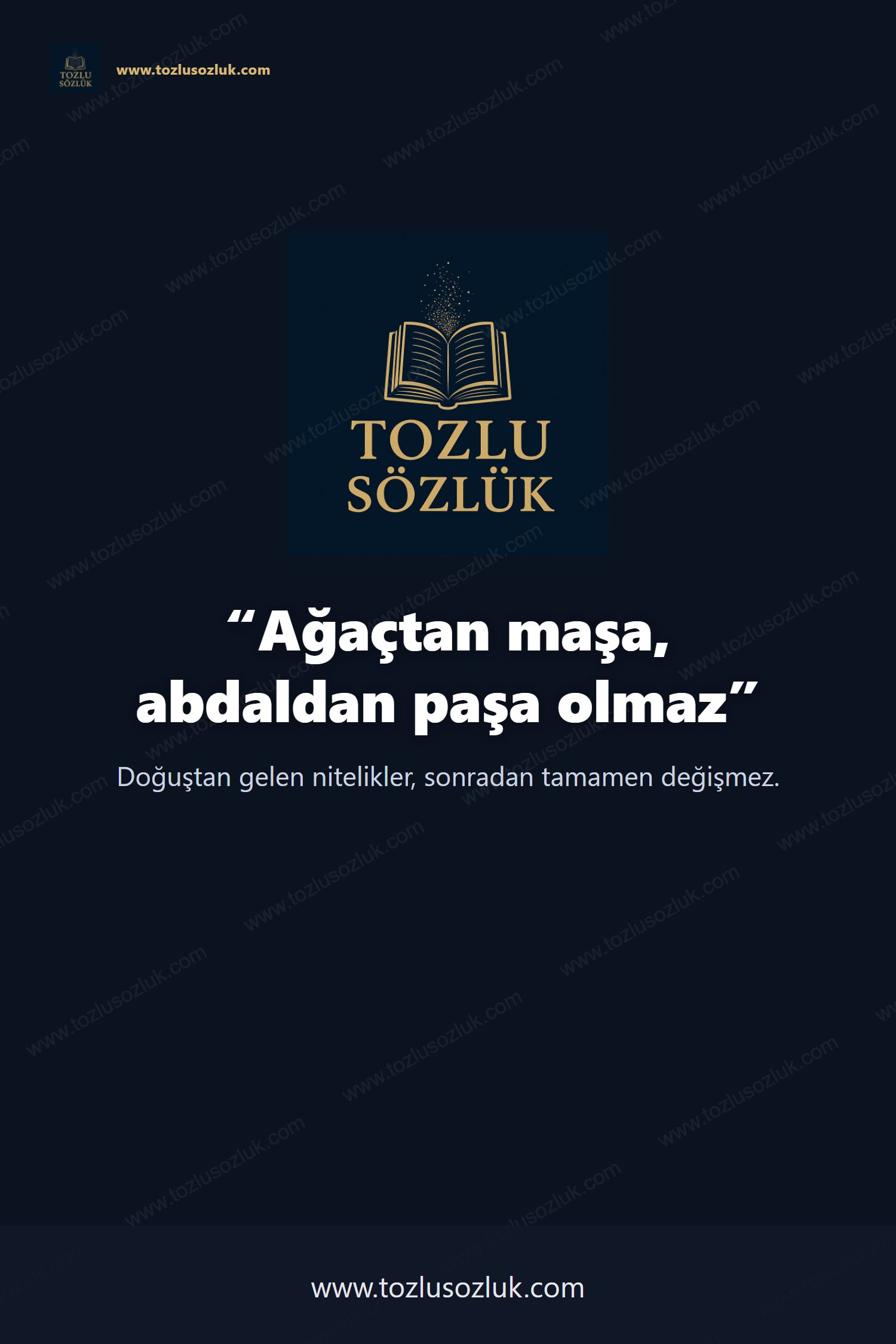 Ağaçtan maşa, abdaldan paşa olmaz Pinterest görseli