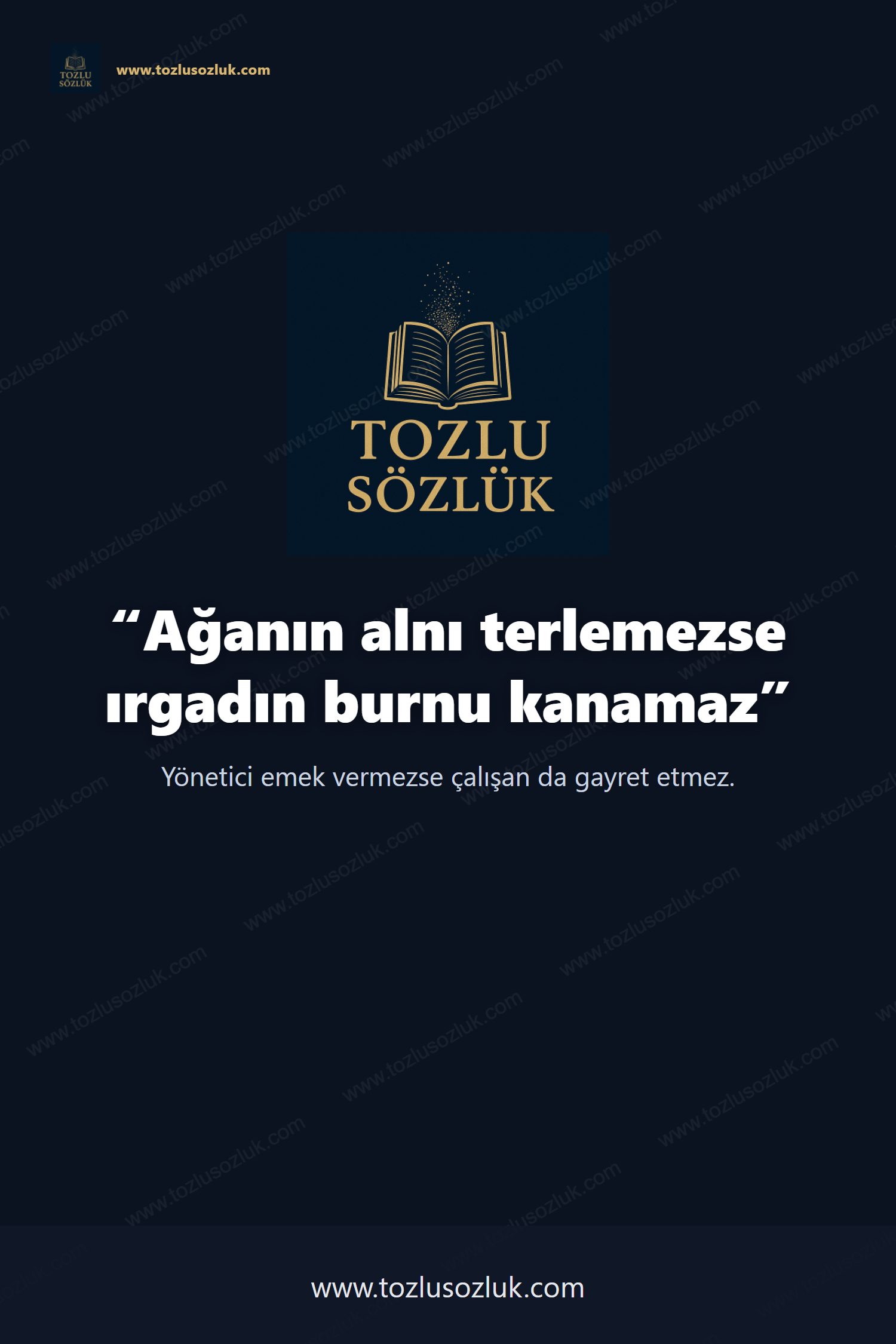 Ağanın alnı terlemezse ırgadın burnu kanamaz Pinterest görseli