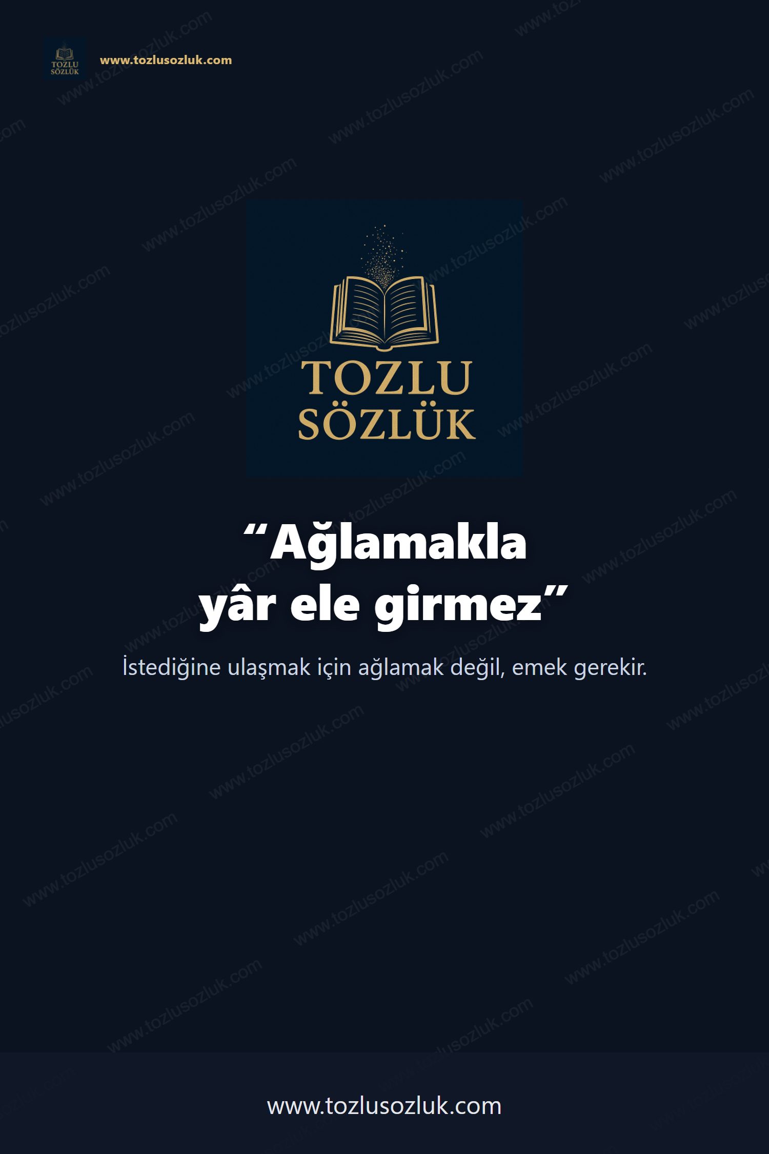 Ağlamakla yâr ele girmez Pinterest görseli