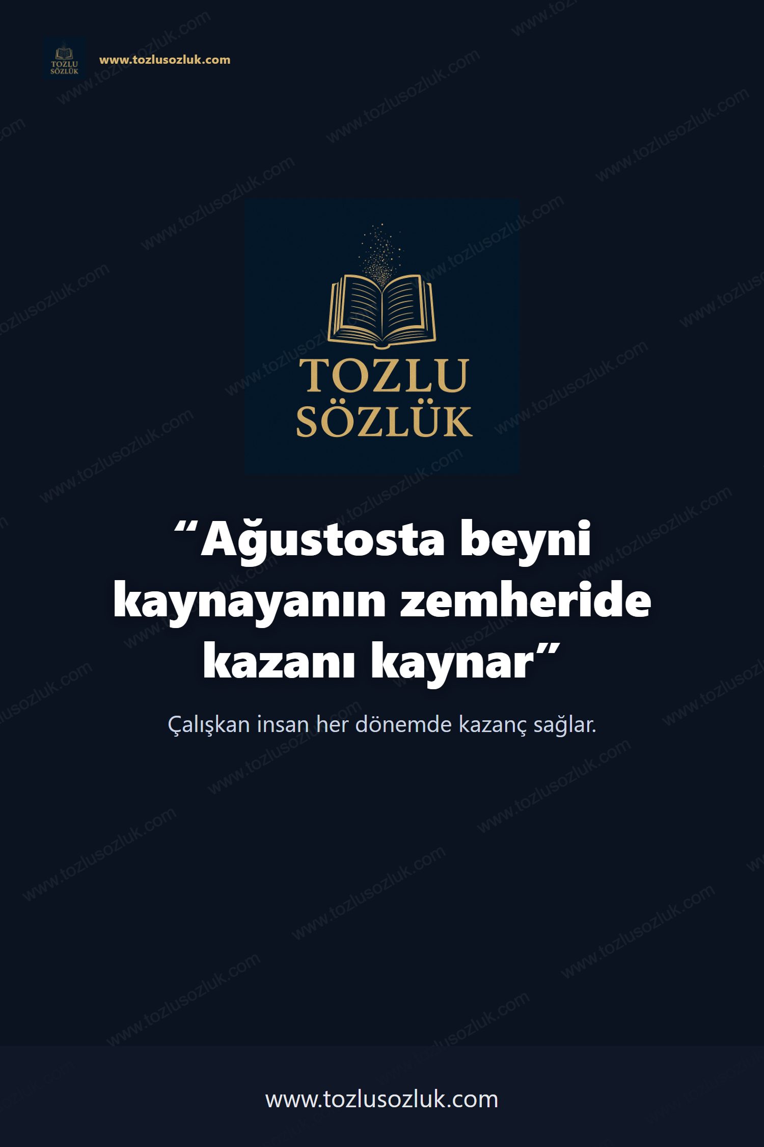 Ağustosta beyni kaynayanın zemheride kazanı kaynar Pinterest görseli