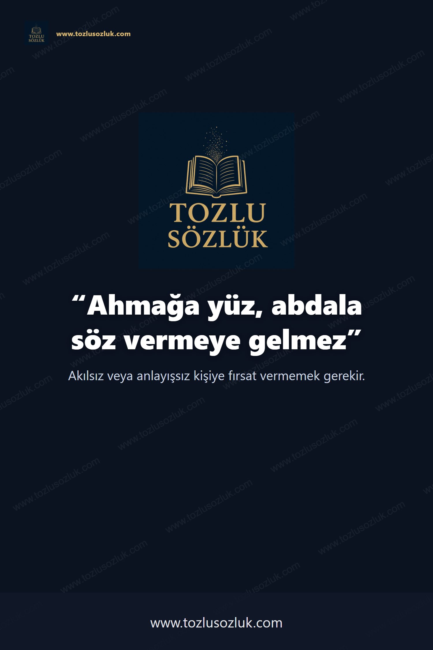 Ahmağa yüz, abdala söz vermeye gelmez Pinterest görseli