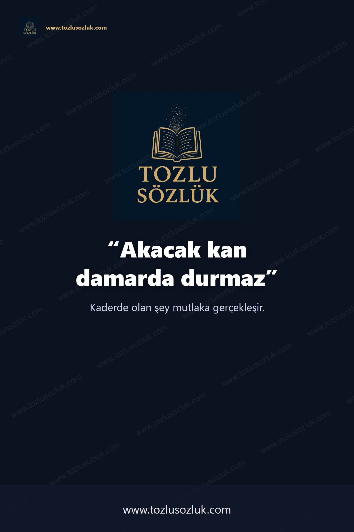 Akacak kan damarda durmaz Pinterest görseli