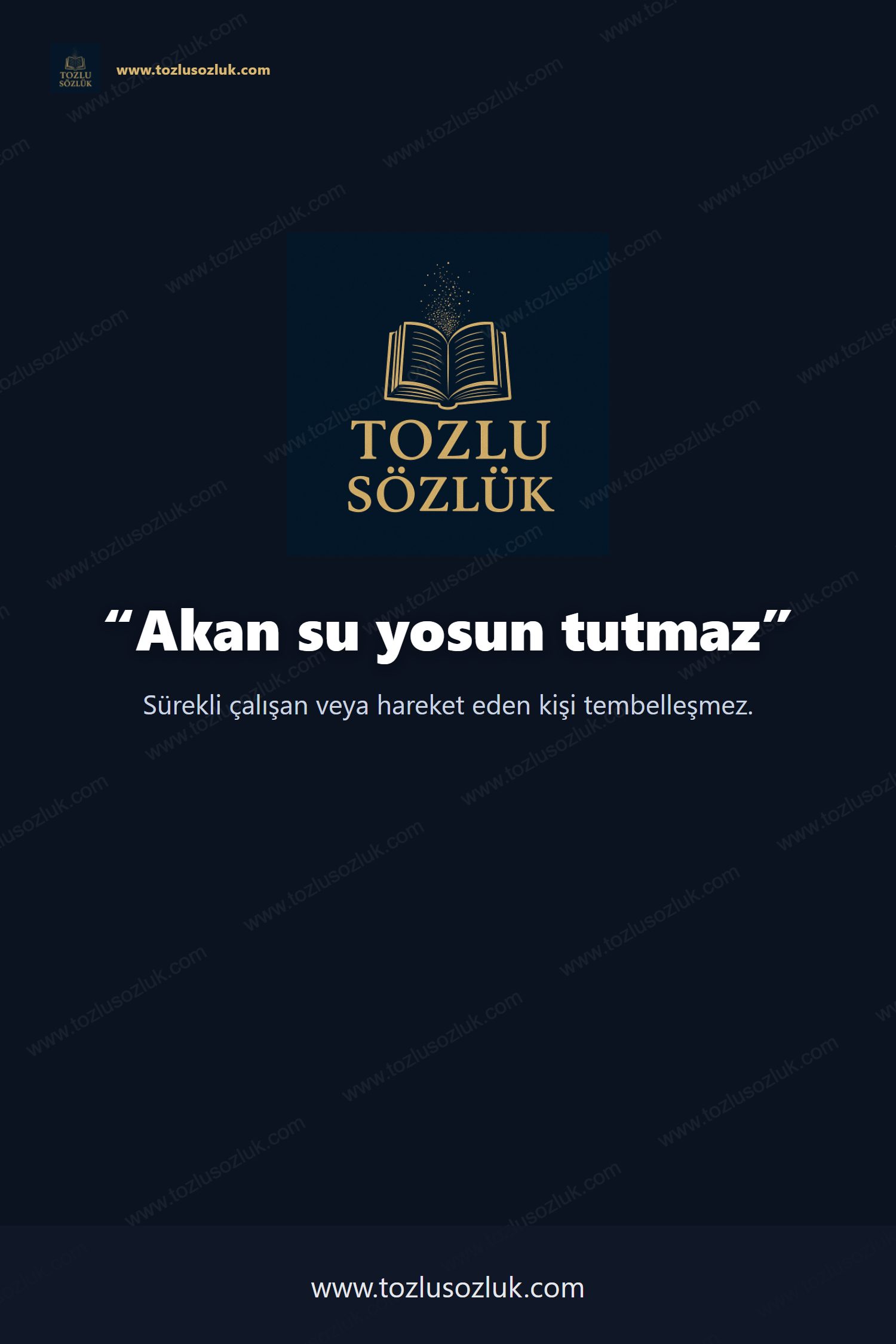 Akan su yosun tutmaz Pinterest görseli