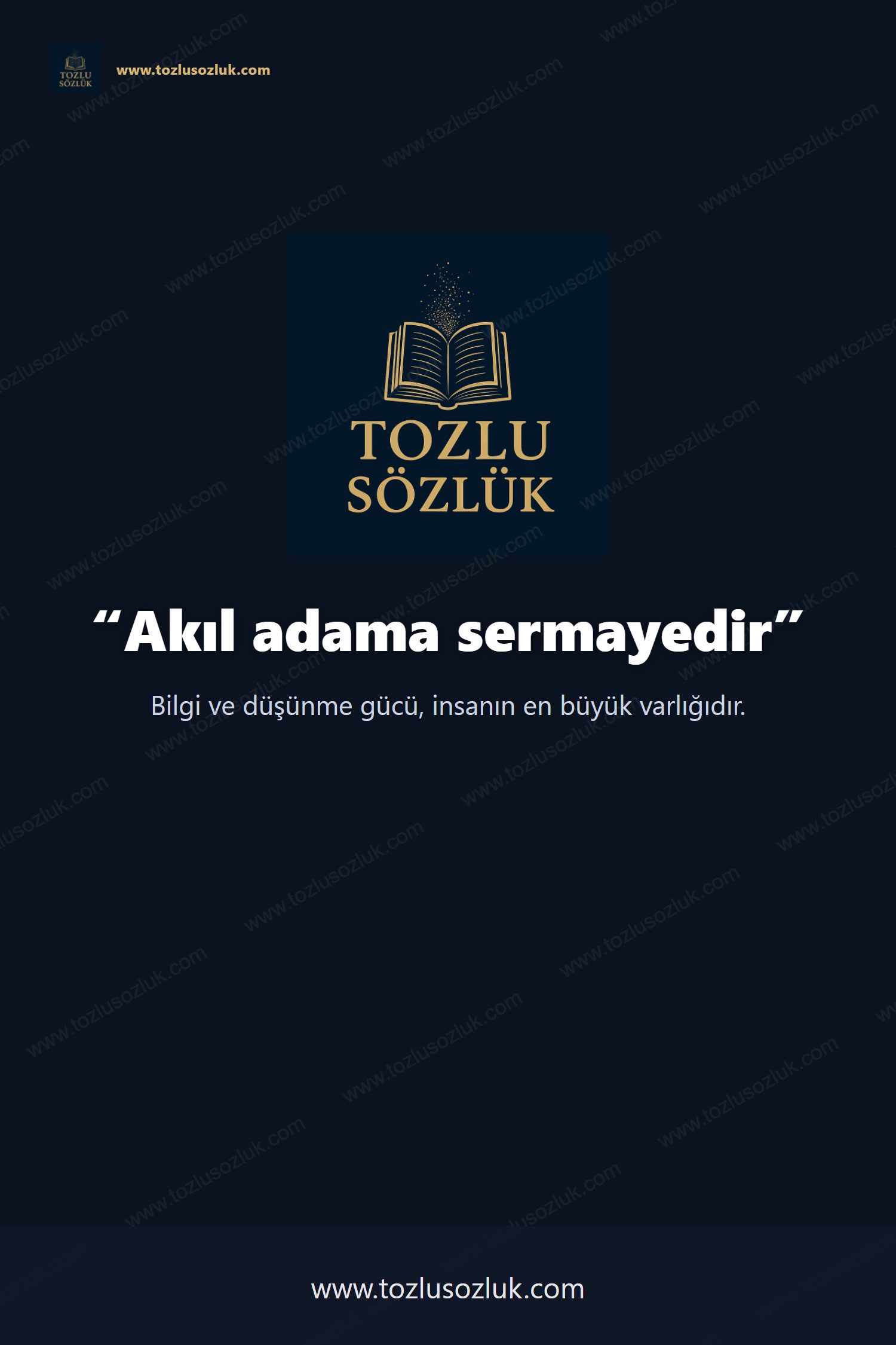 Akıl adama sermayedir Pinterest görseli