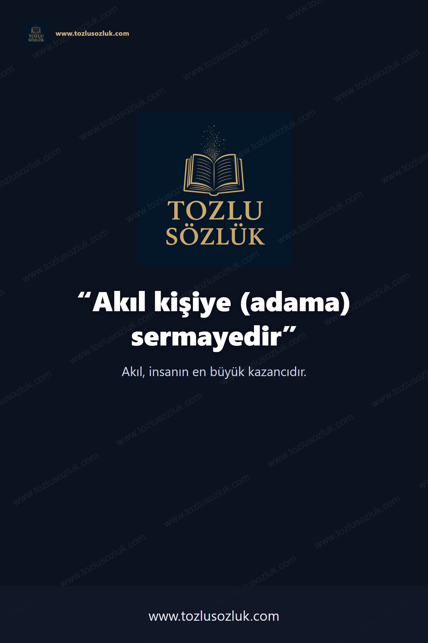 Akıl kişiye (adama) sermayedir Pinterest görseli