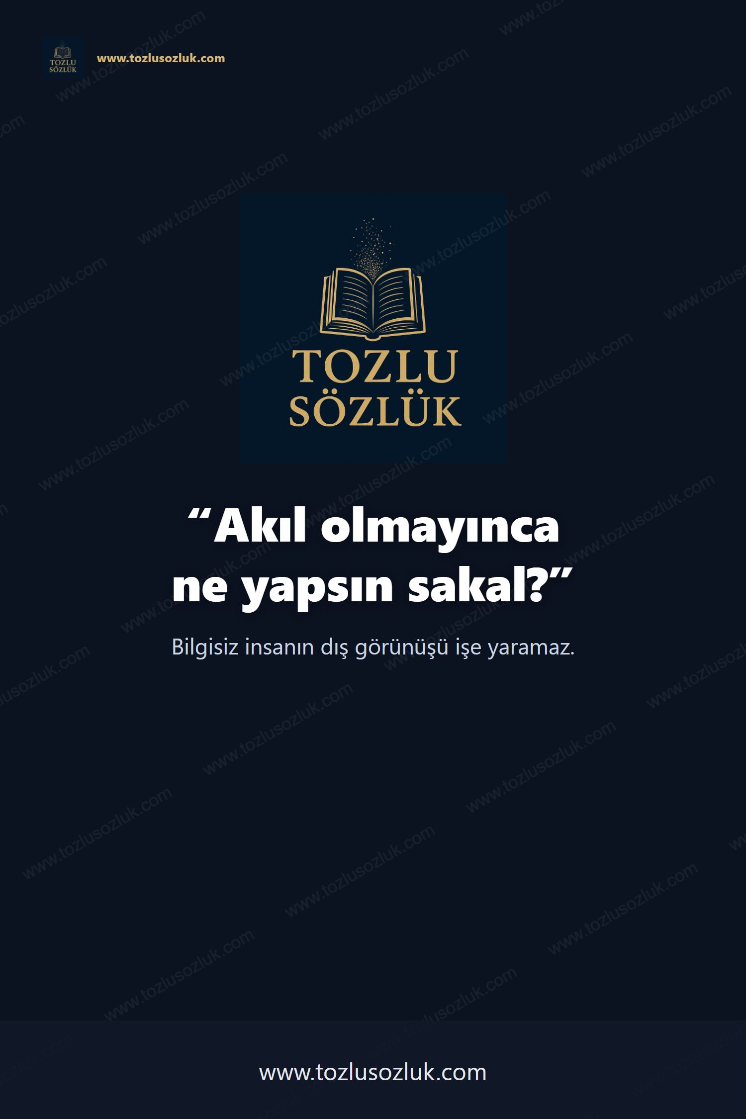 Akıl olmayınca ne yapsın sakal? Pinterest görseli