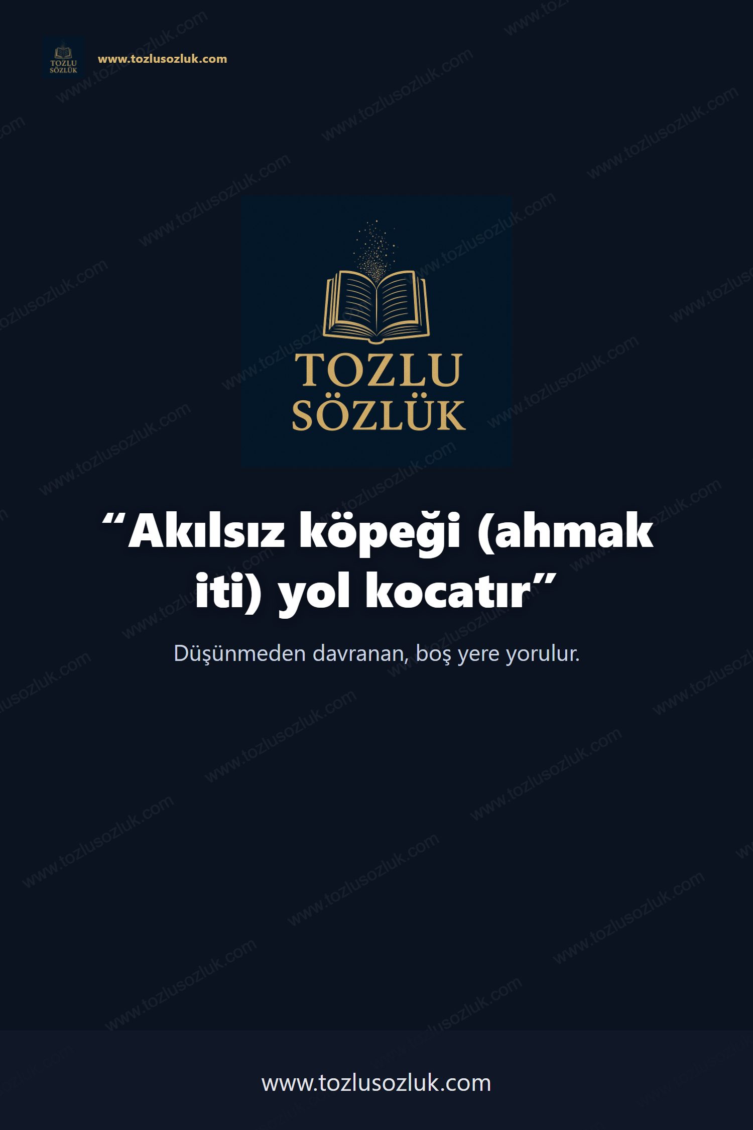 Akılsız köpeği (ahmak iti) yol kocatır Pinterest görseli