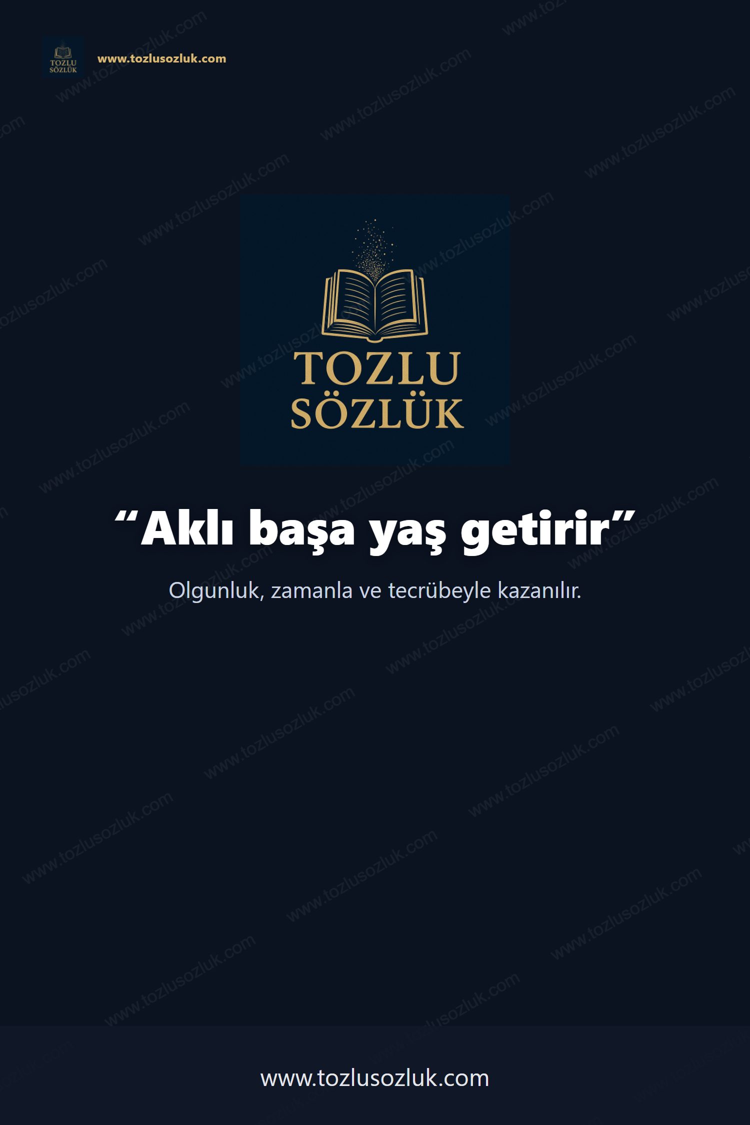 Aklı başa yaş getirir Pinterest görseli