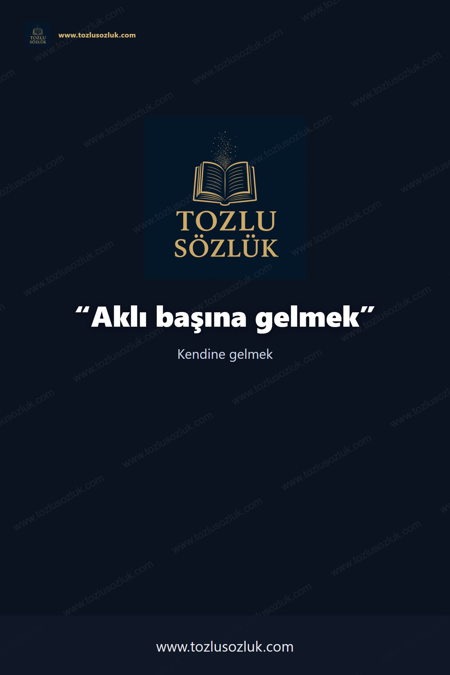 Aklı başına gelmek Pinterest görseli