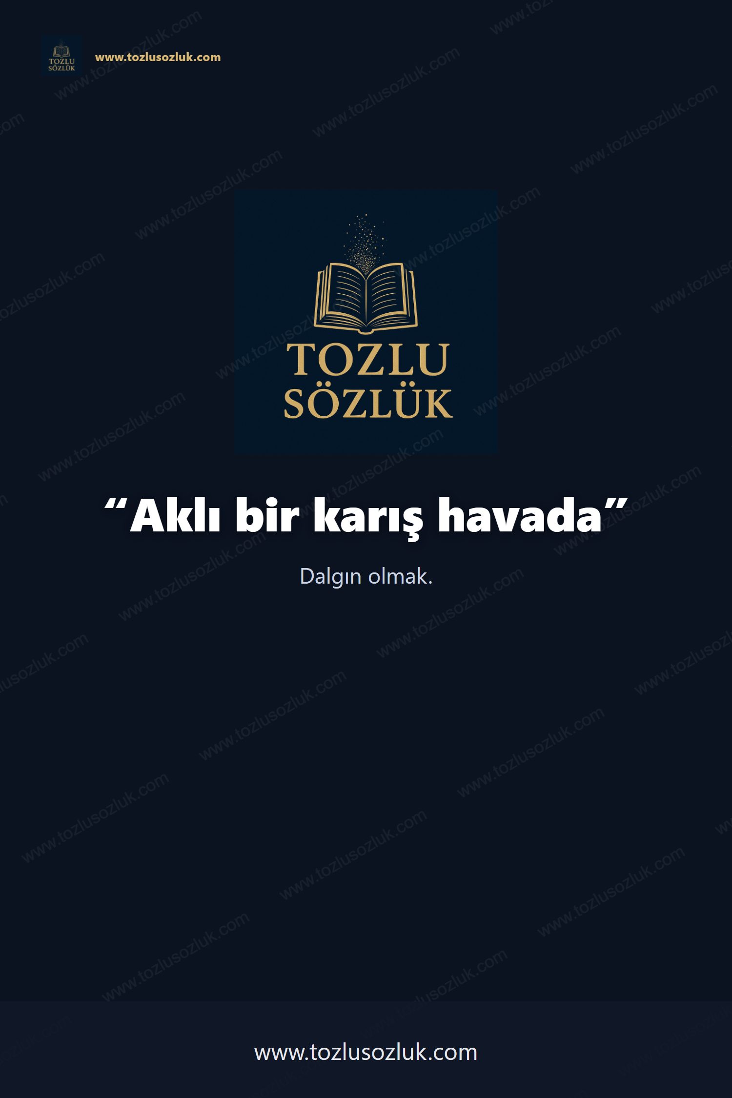 Aklı bir karış havada Pinterest görseli