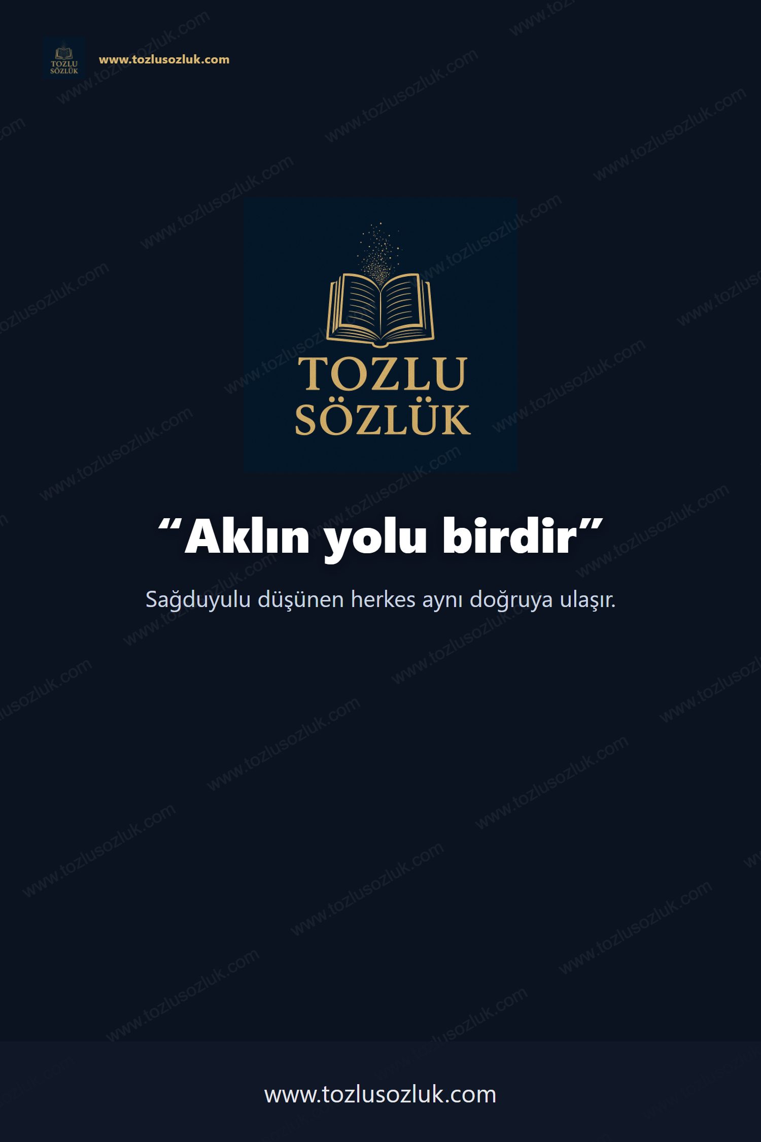 Aklın yolu birdir Pinterest görseli