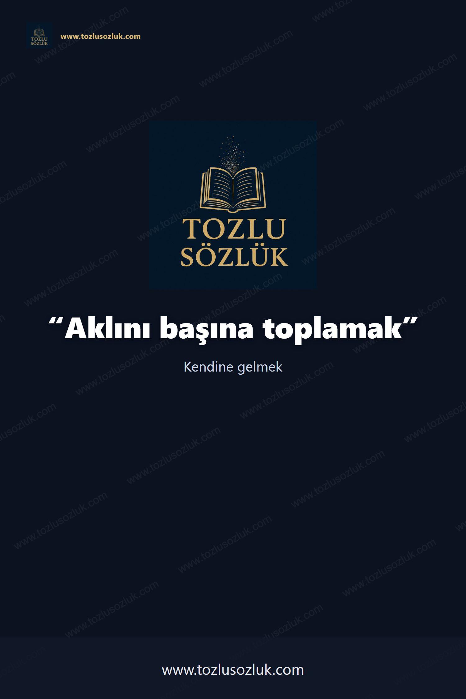 Aklını başına toplamak Pinterest görseli