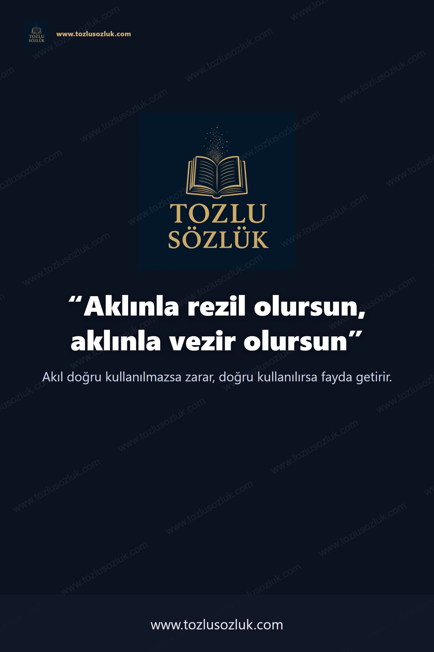 Aklınla rezil olursun, aklınla vezir olursun Pinterest görseli