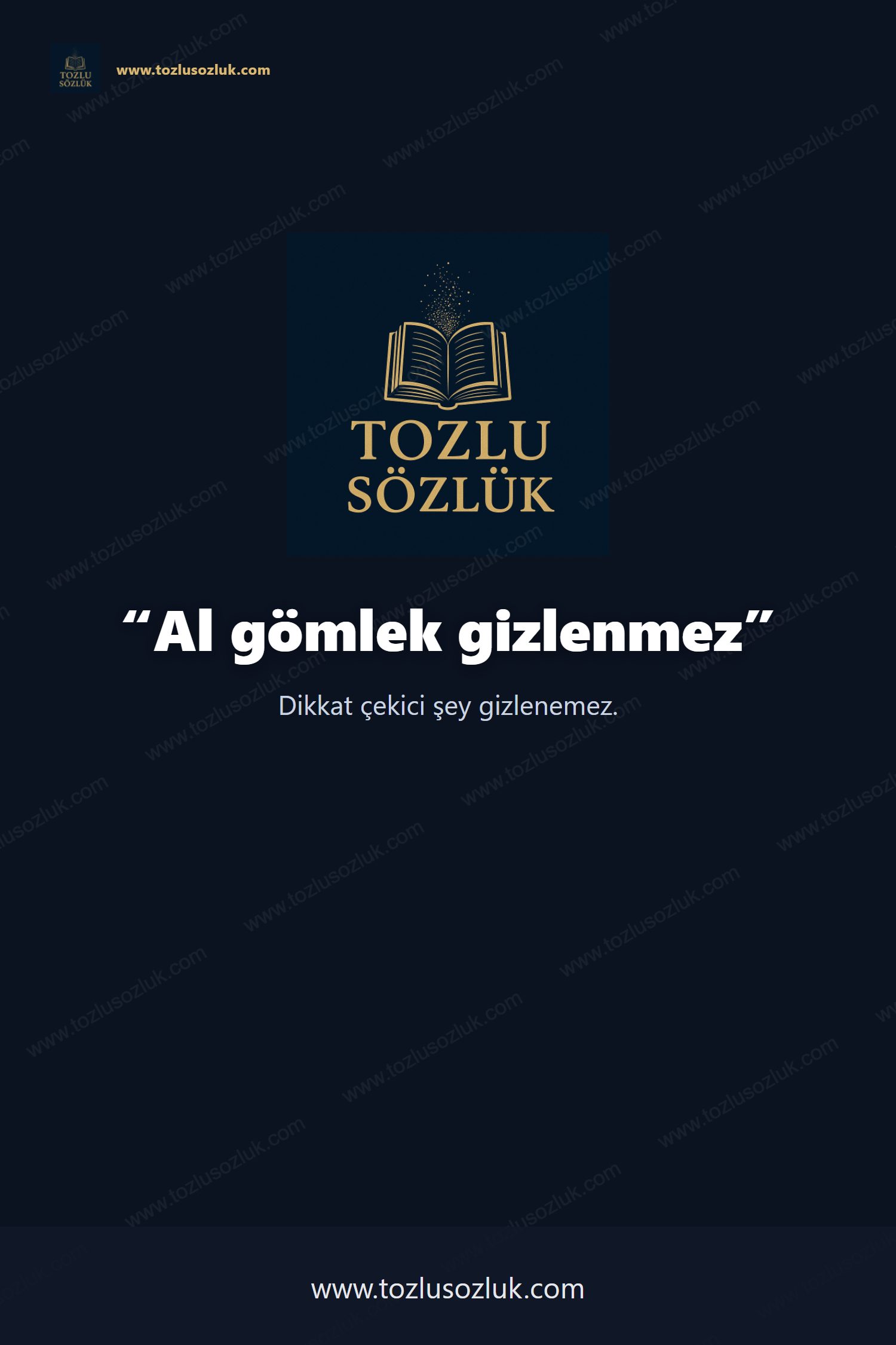 Al gömlek gizlenmez Pinterest görseli