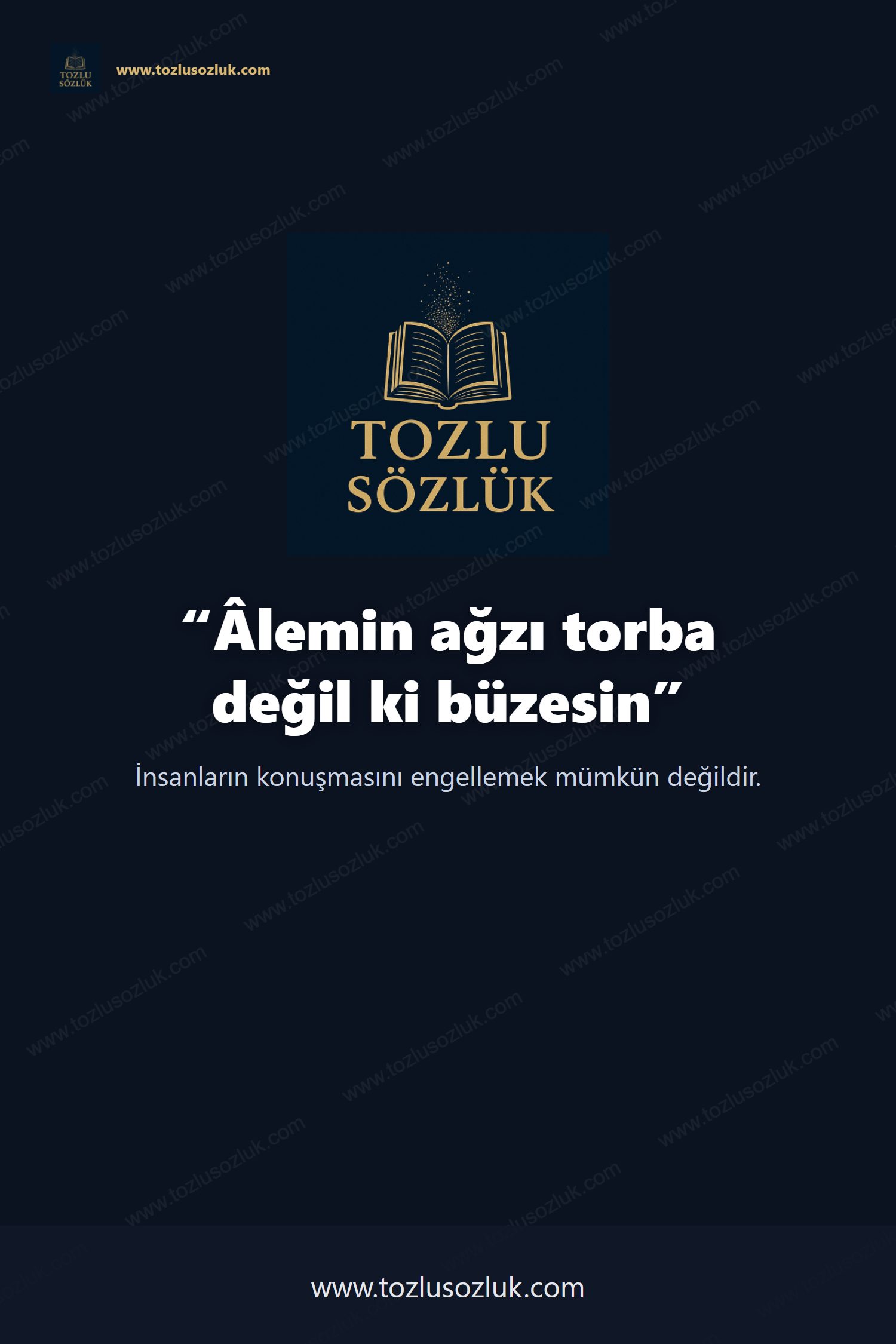 Âlemin ağzı torba değil ki büzesin Pinterest görseli