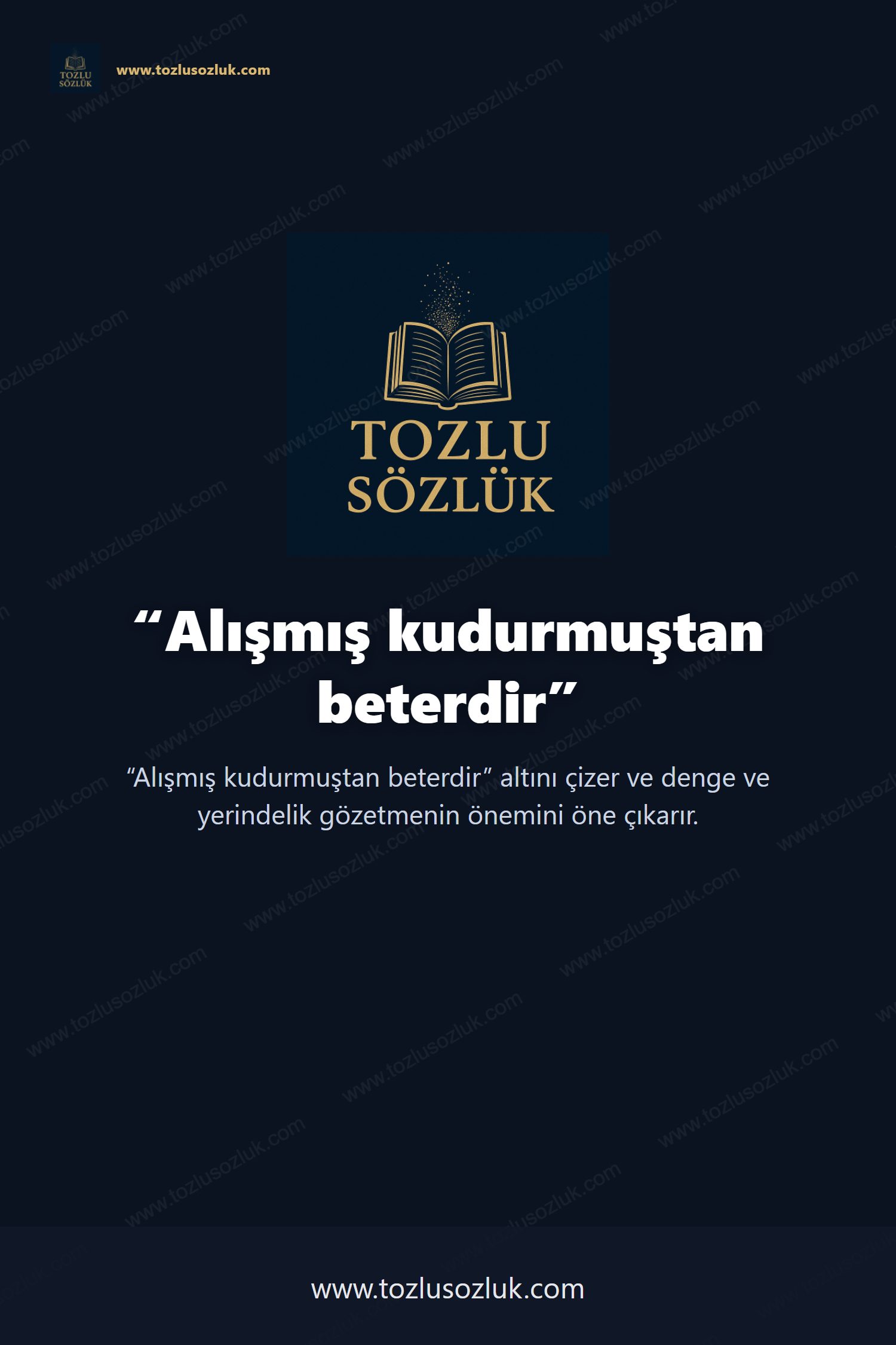 Alışmış kudurmuştan beterdir Pinterest görseli