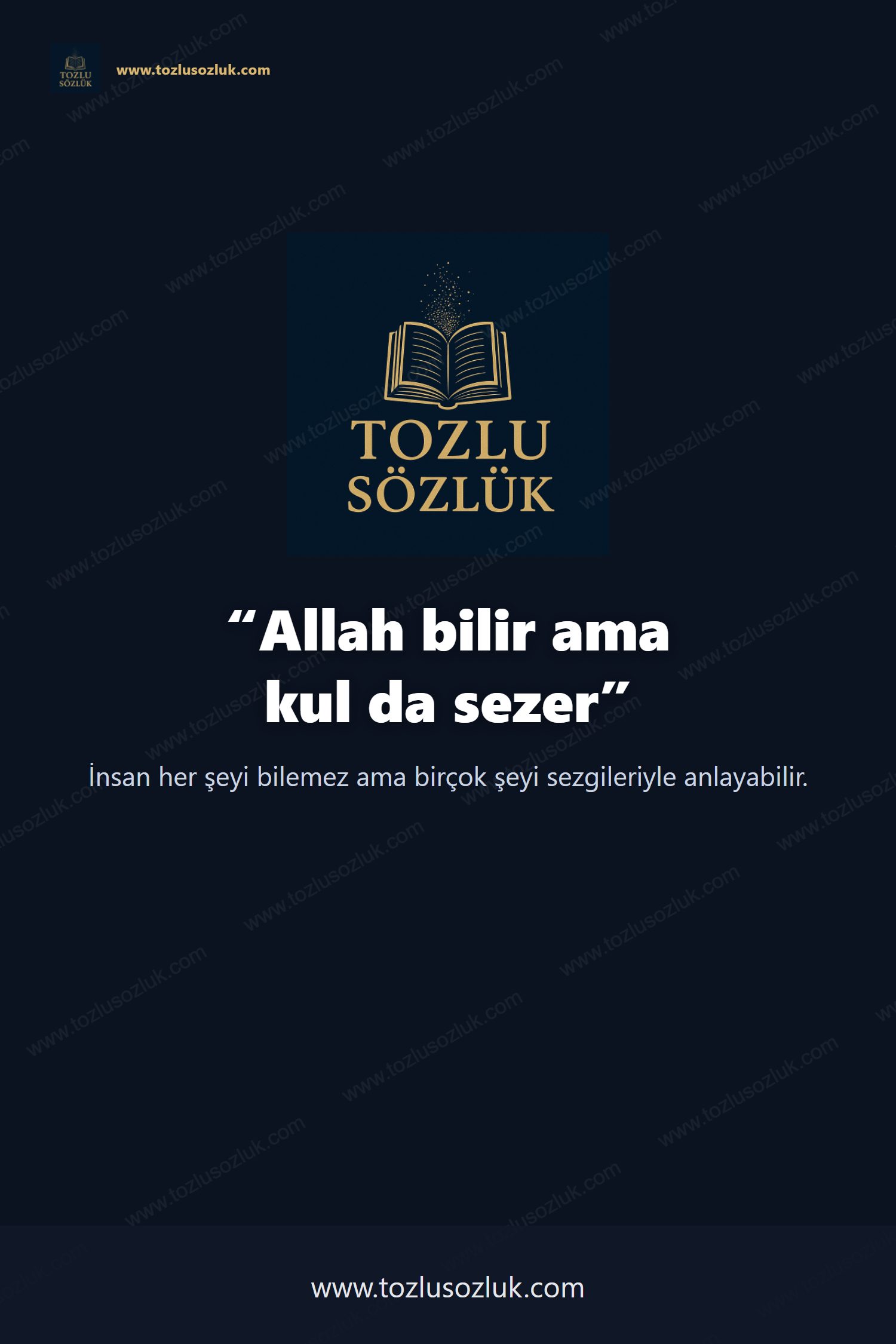 Allah bilir ama kul da sezer Pinterest görseli