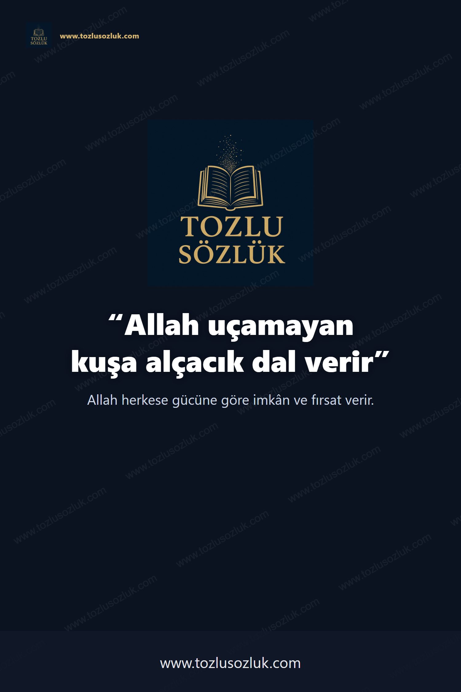 Allah uçamayan kuşa alçacık dal verir Pinterest görseli