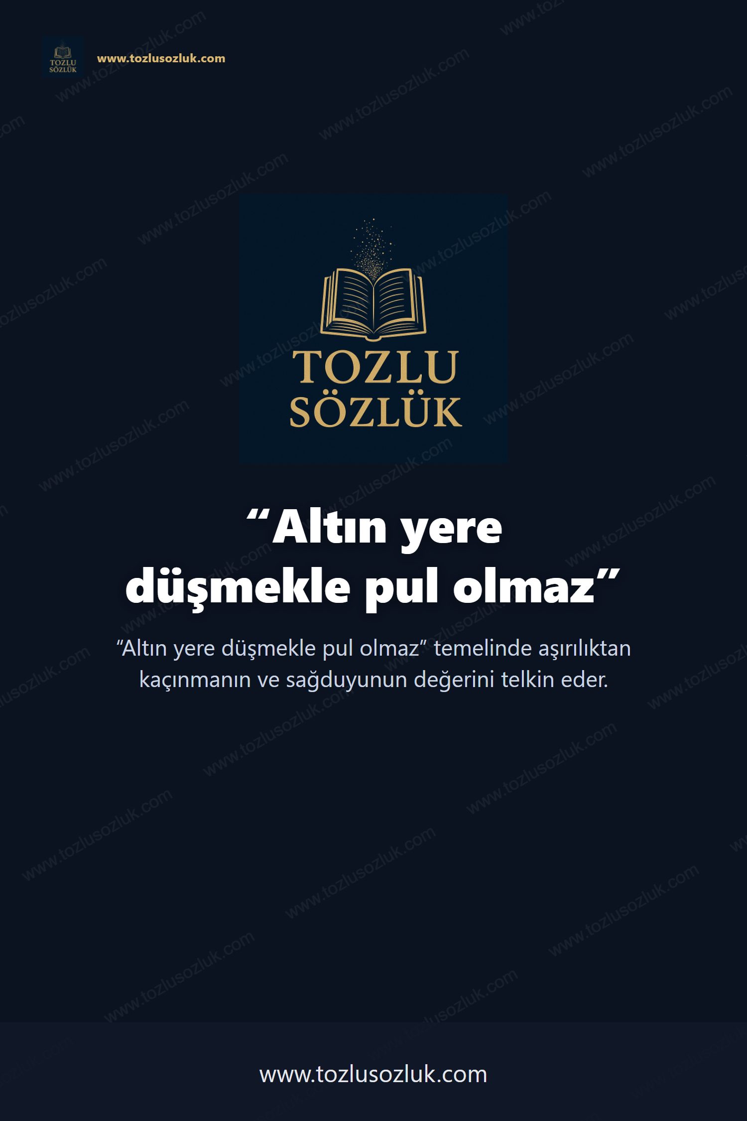 Altın yere düşmekle pul olmaz Pinterest görseli