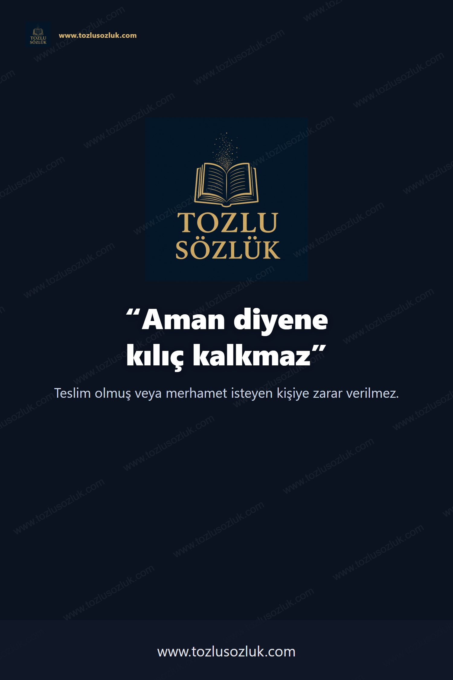 Aman diyene kılıç kalkmaz Pinterest görseli