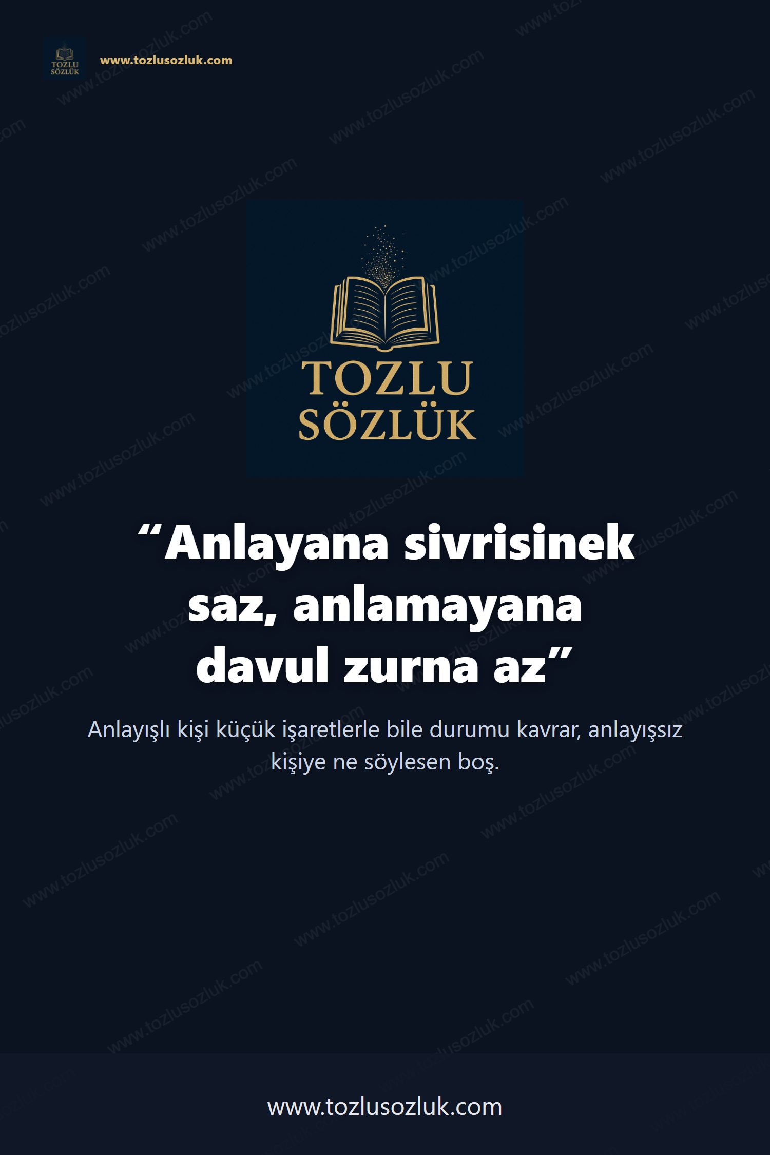 Anlayana sivrisinek saz, anlamayana davul zurna az Pinterest görseli