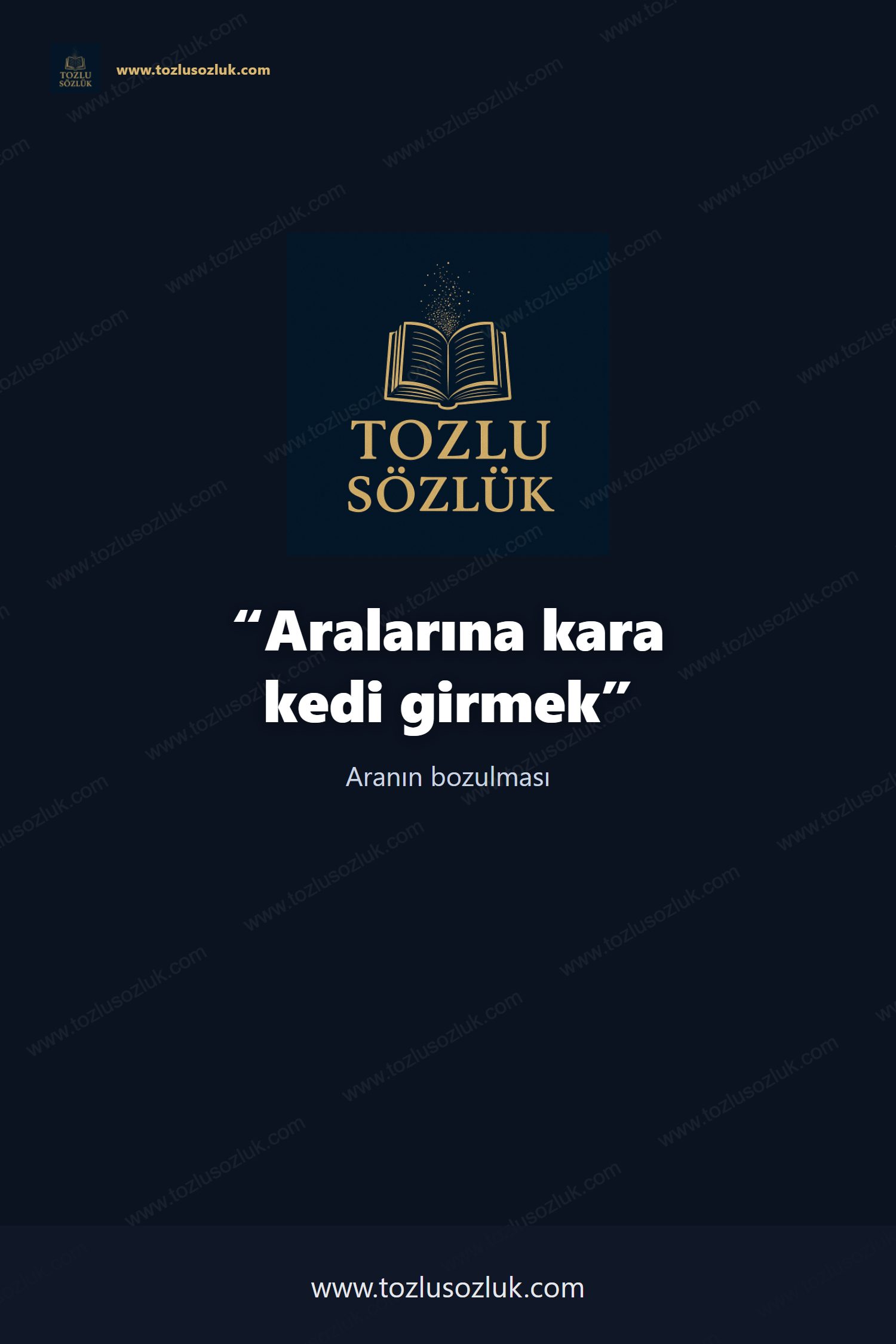 Aralarına kara kedi girmek Pinterest görseli