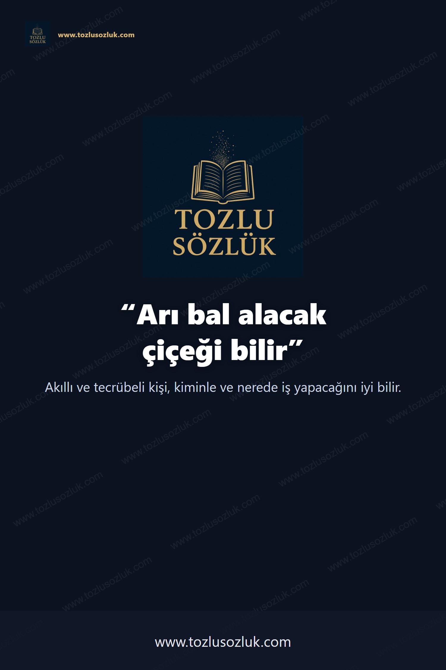 Arı bal alacak çiçeği bilir Pinterest görseli