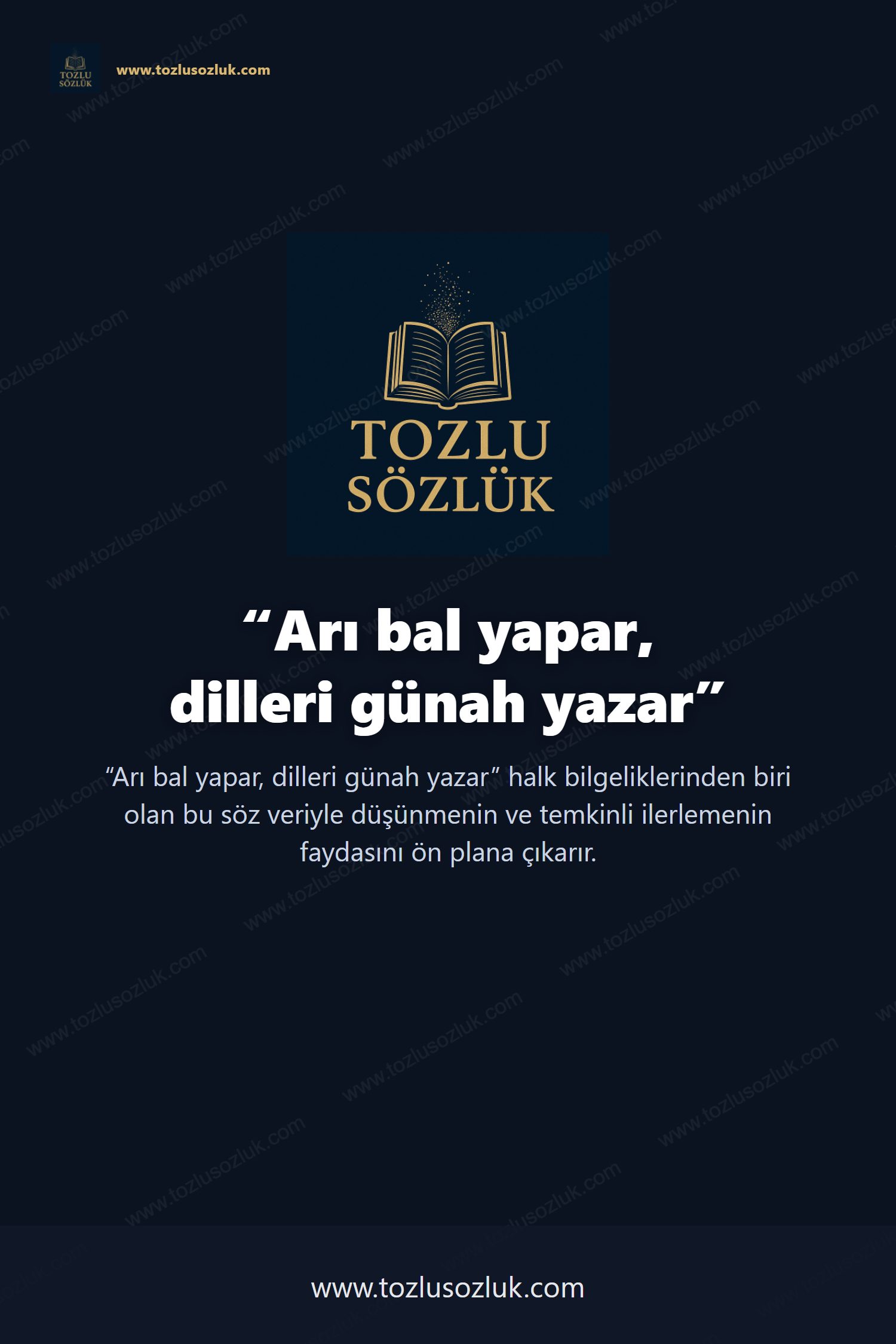 Arı bal yapar, dilleri günah yazar Pinterest görseli