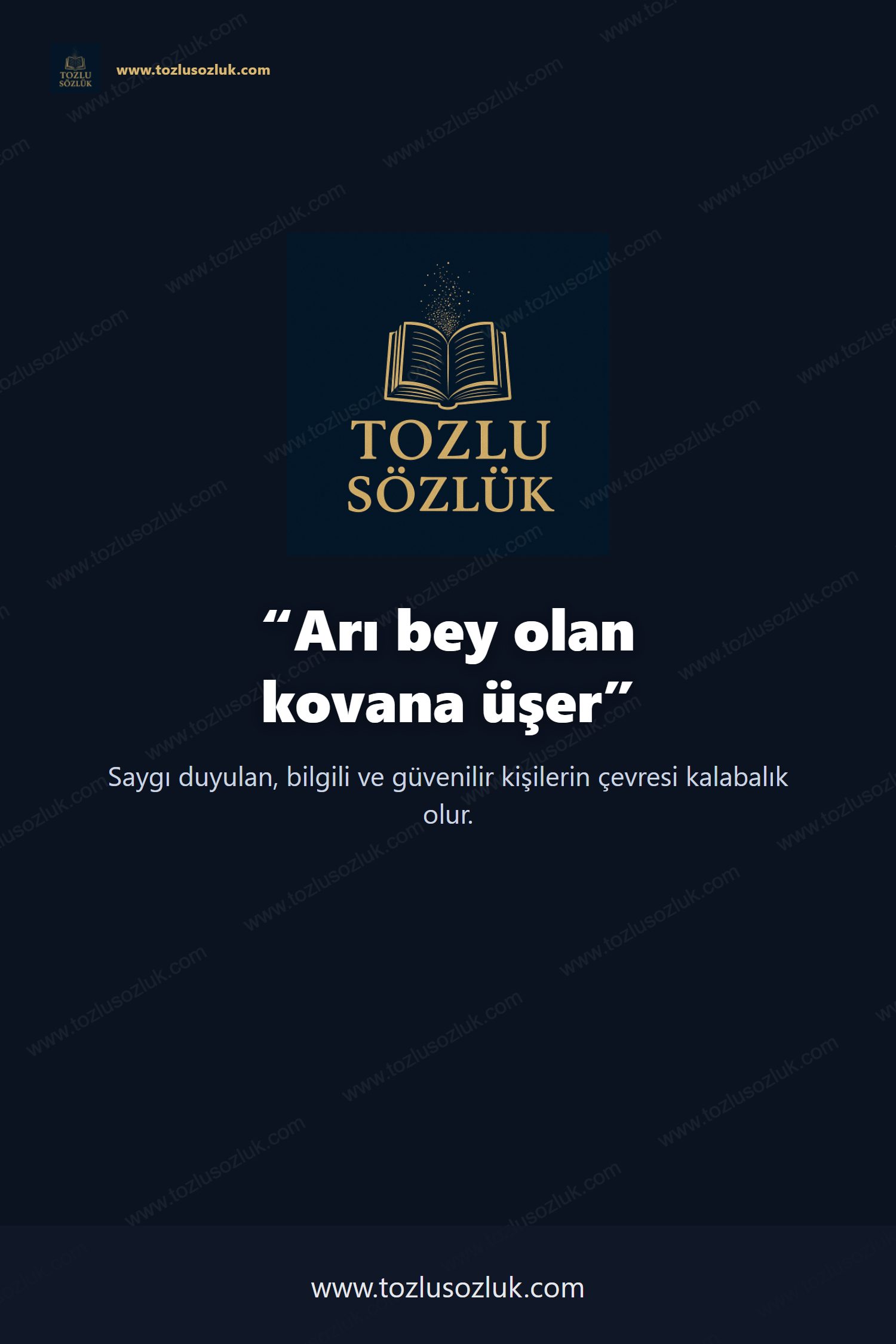 Arı bey olan kovana üşer Pinterest görseli