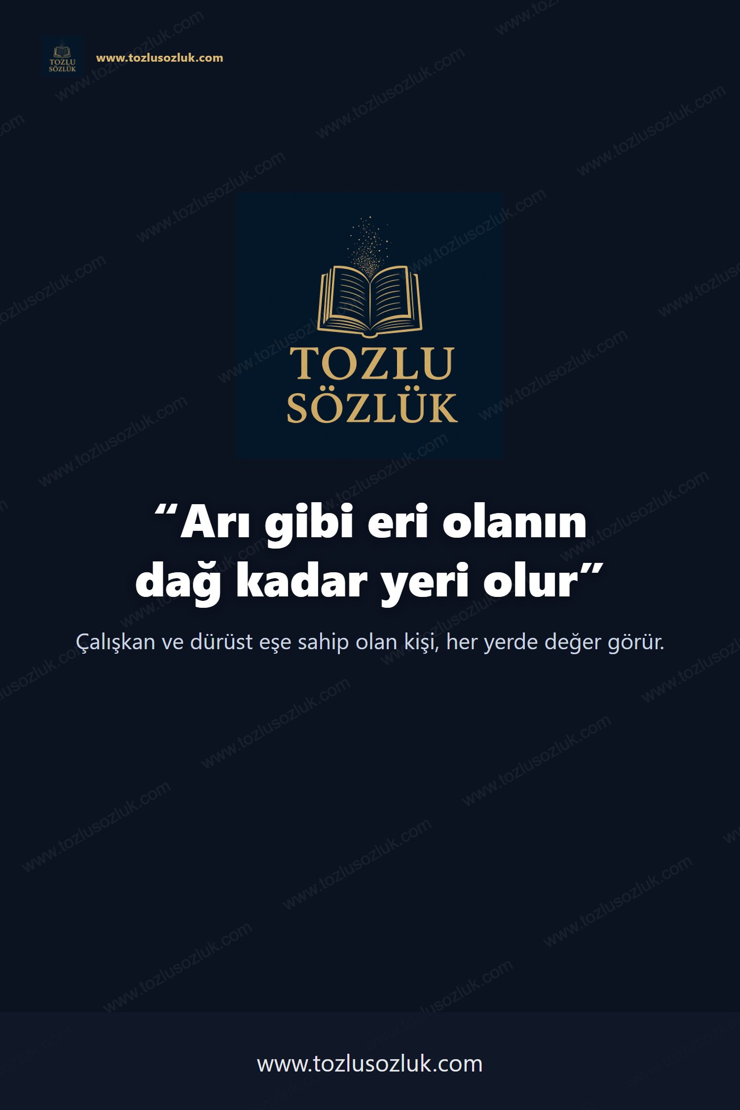 Arı gibi eri olanın dağ kadar yeri olur Pinterest görseli