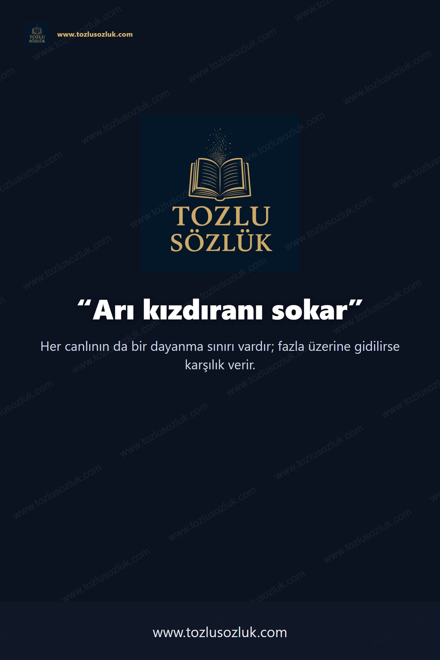 Arı kızdıranı sokar Pinterest görseli