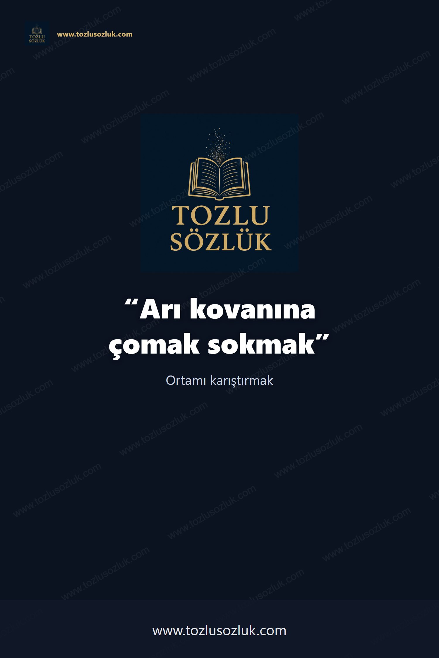 Arı kovanına çomak sokmak Pinterest görseli