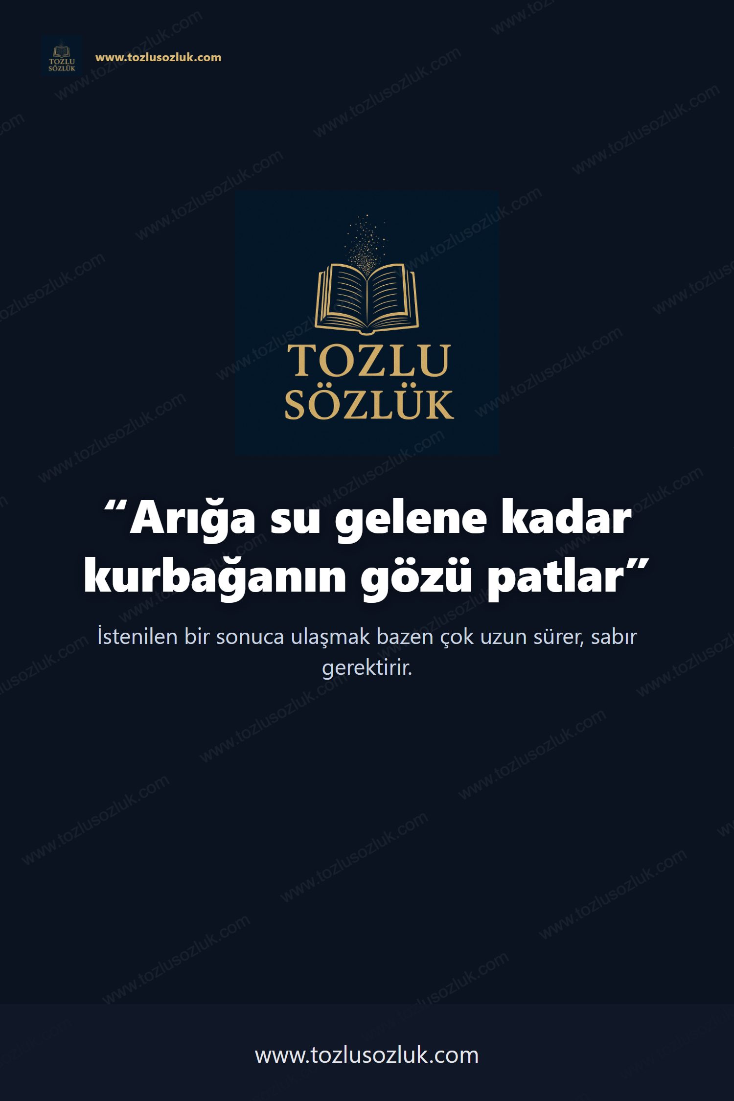 Arığa su gelene kadar kurbağanın gözü patlar Pinterest görseli