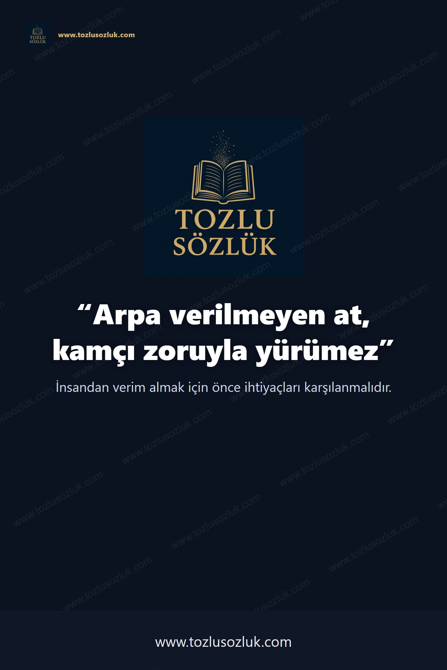 Arpa verilmeyen at, kamçı zoruyla yürümez Pinterest görseli