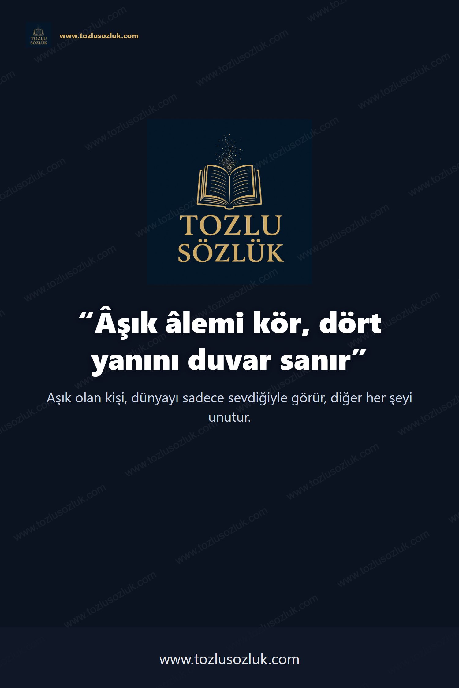 Âşık âlemi kör, dört yanını duvar sanır Pinterest görseli