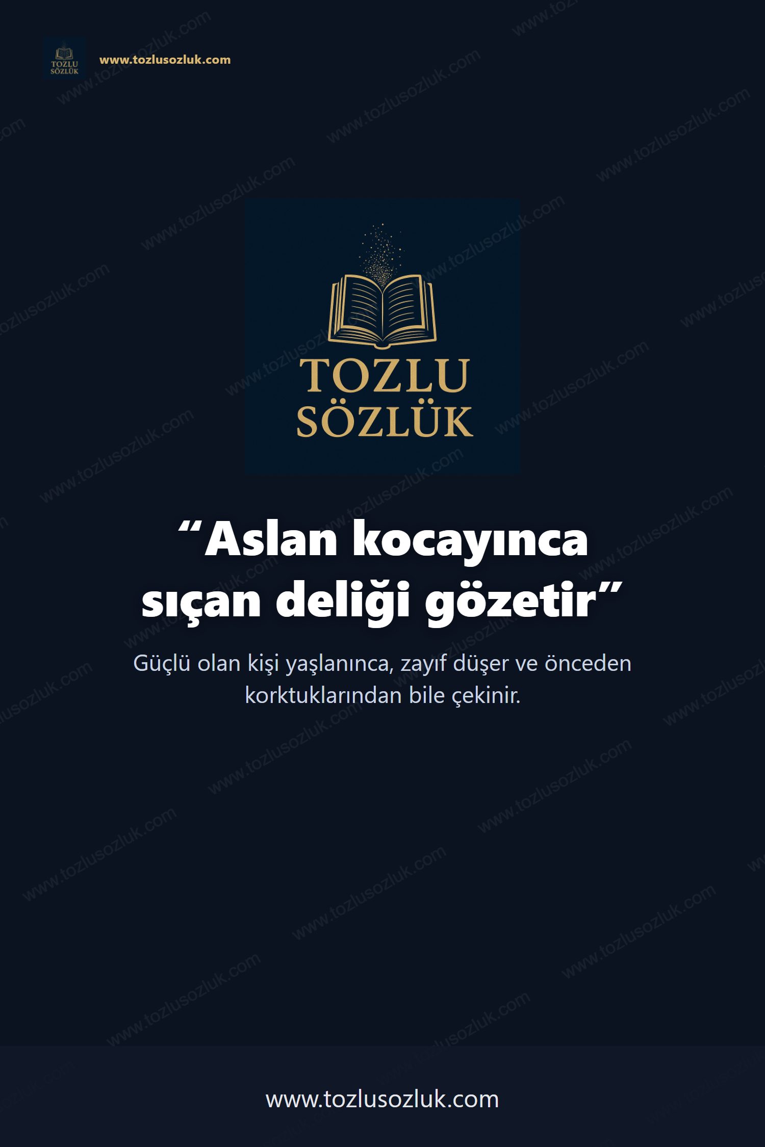 Aslan kocayınca sıçan deliği gözetir Pinterest görseli