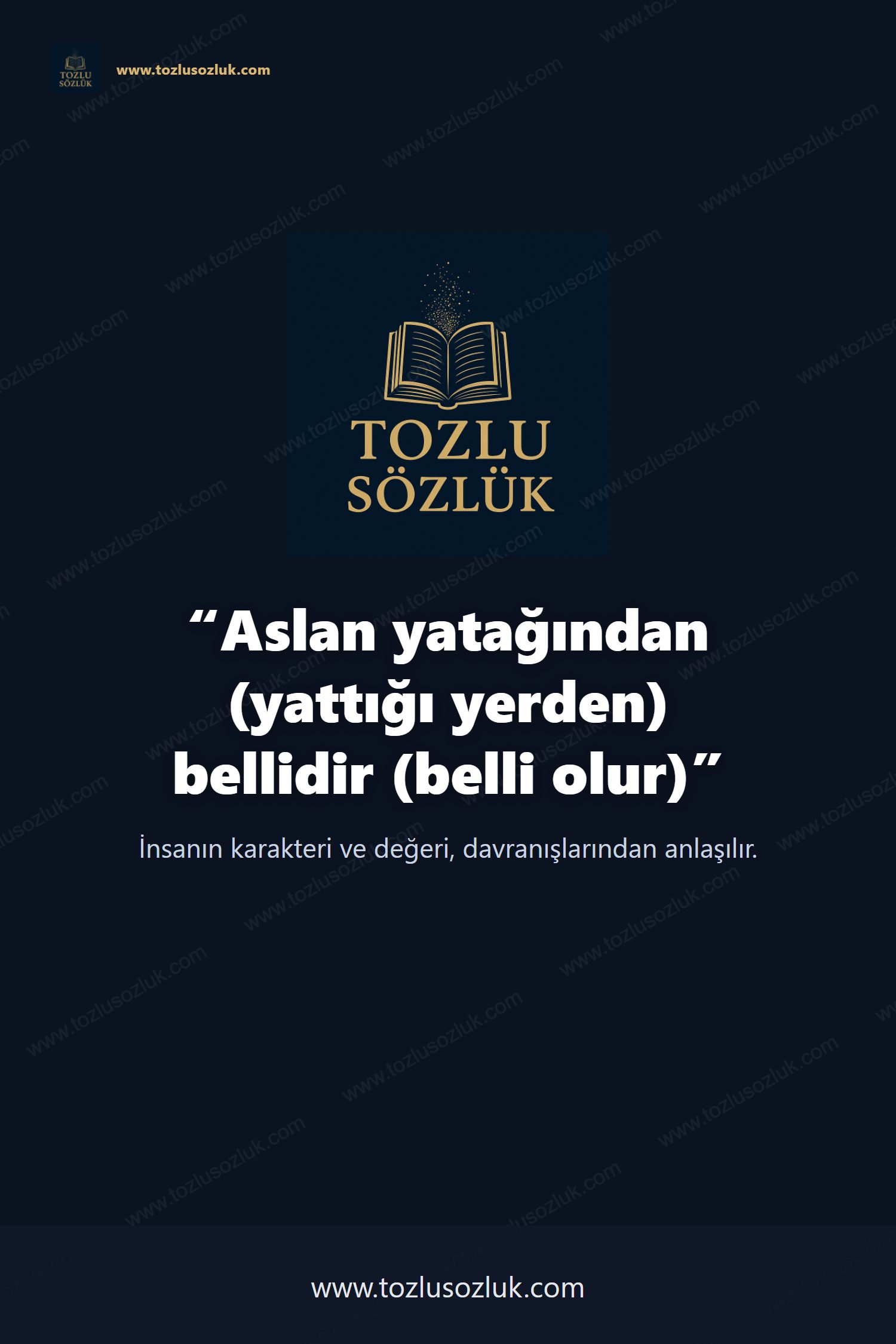 Aslan yatağından (yattığı yerden) bellidir (belli olur) Pinterest görseli