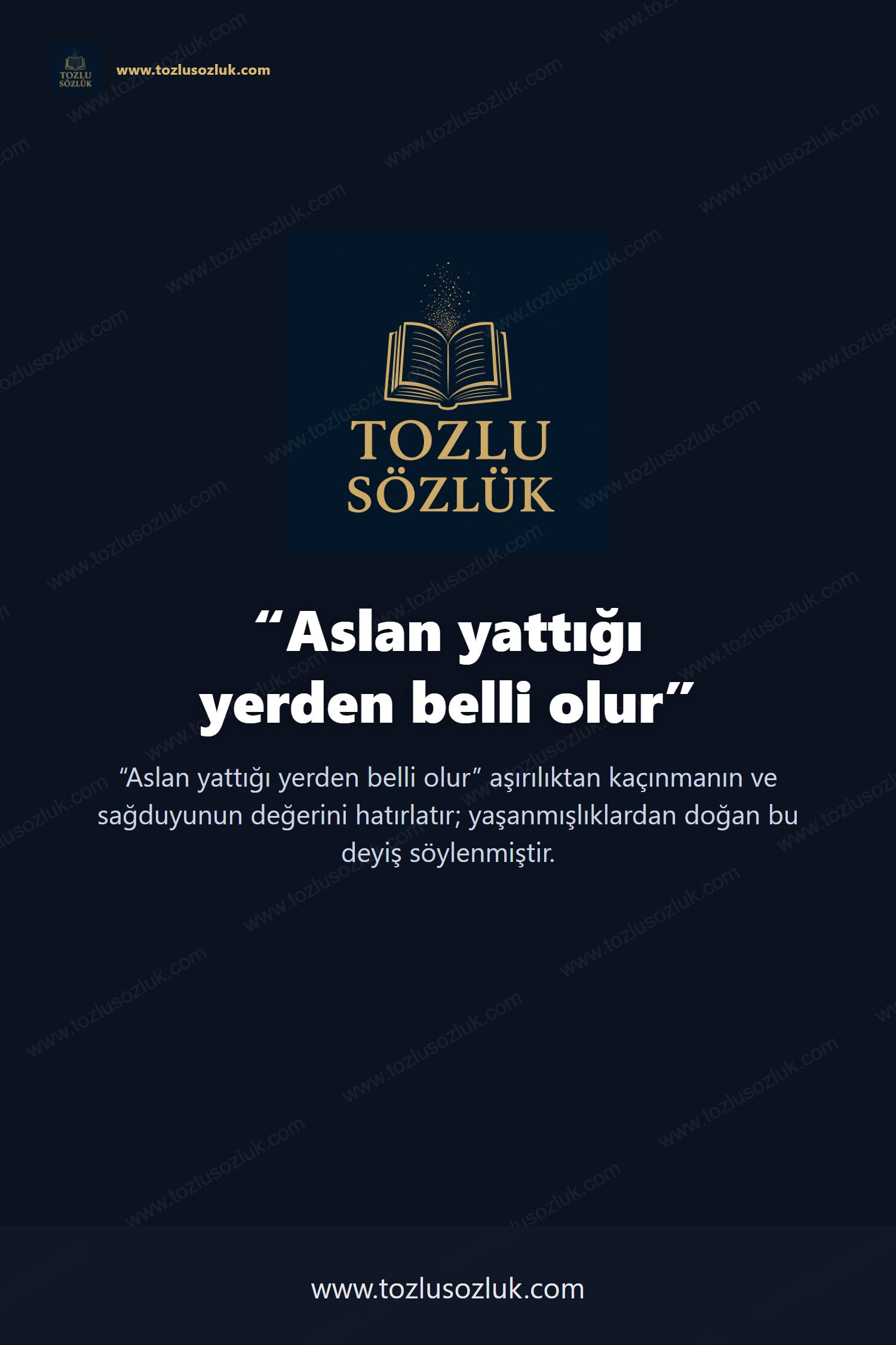 Aslan yattığı yerden belli olur Pinterest görseli