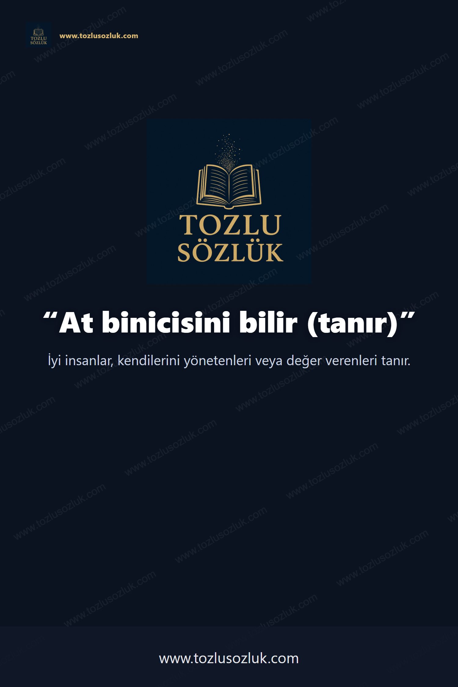 At binicisini bilir (tanır) Pinterest görseli