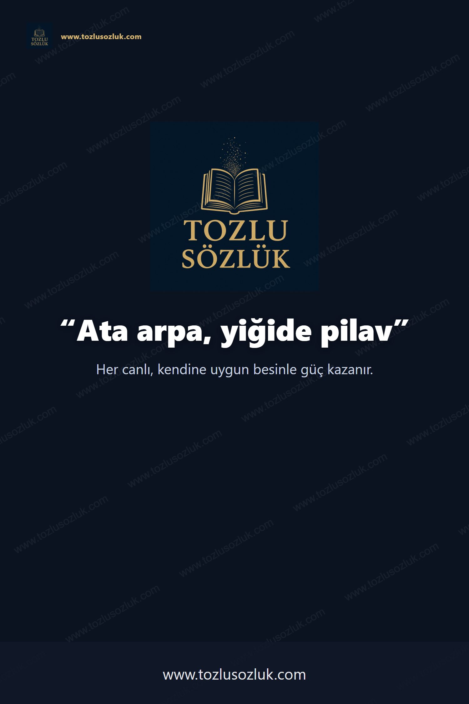 Ata arpa, yiğide pilav Pinterest görseli