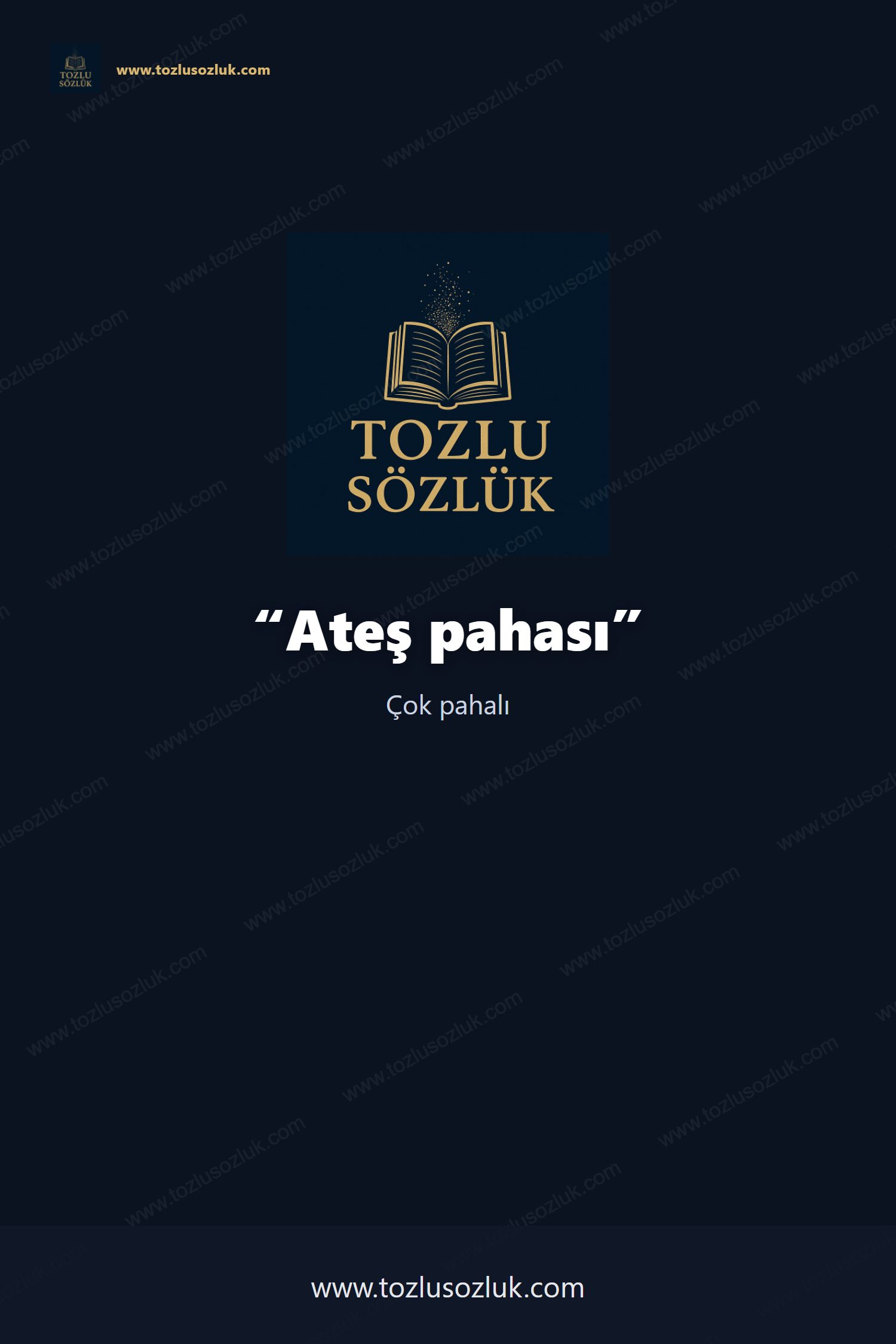 Ateş pahası Pinterest görseli