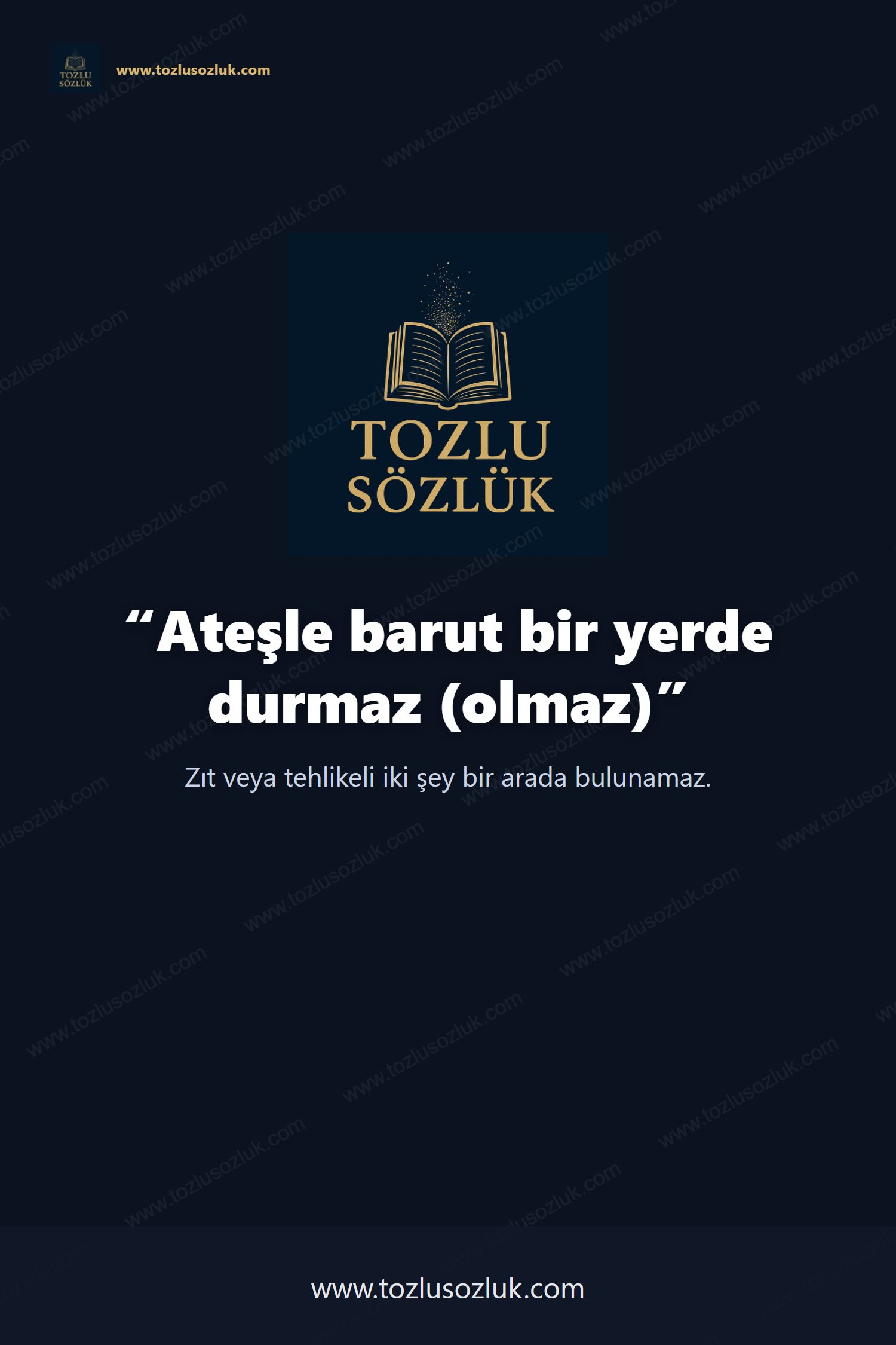 Ateşle barut bir yerde durmaz (olmaz) Pinterest görseli