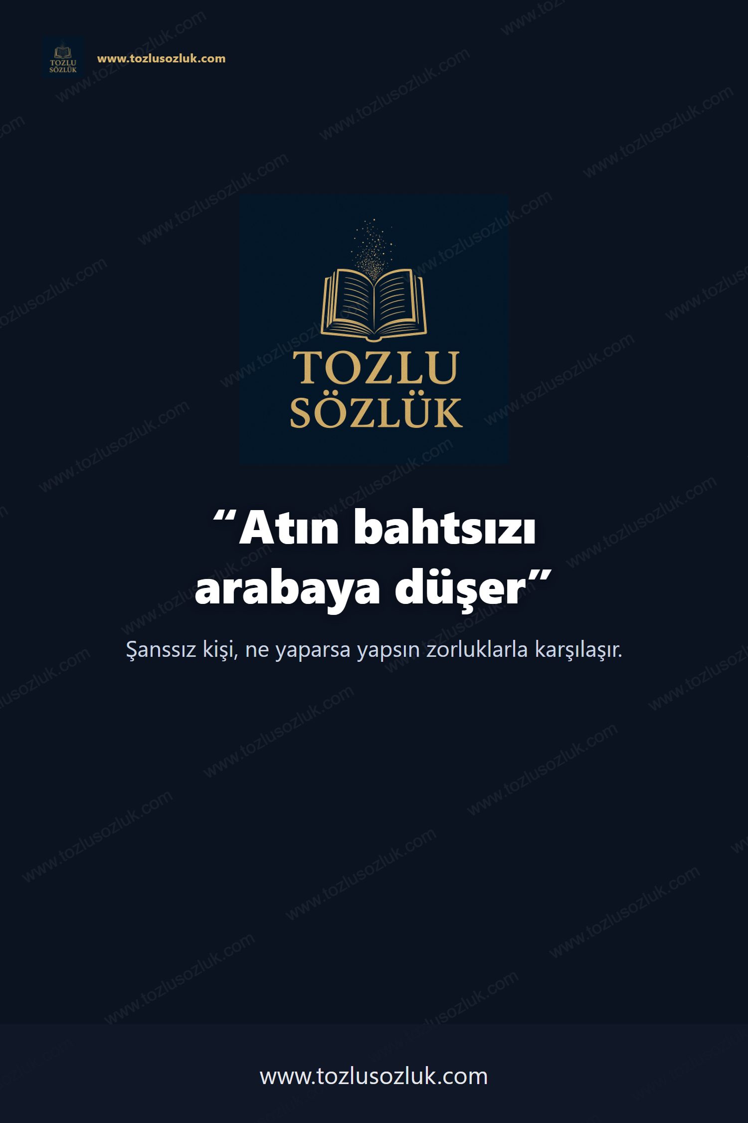 Atın bahtsızı arabaya düşer Pinterest görseli