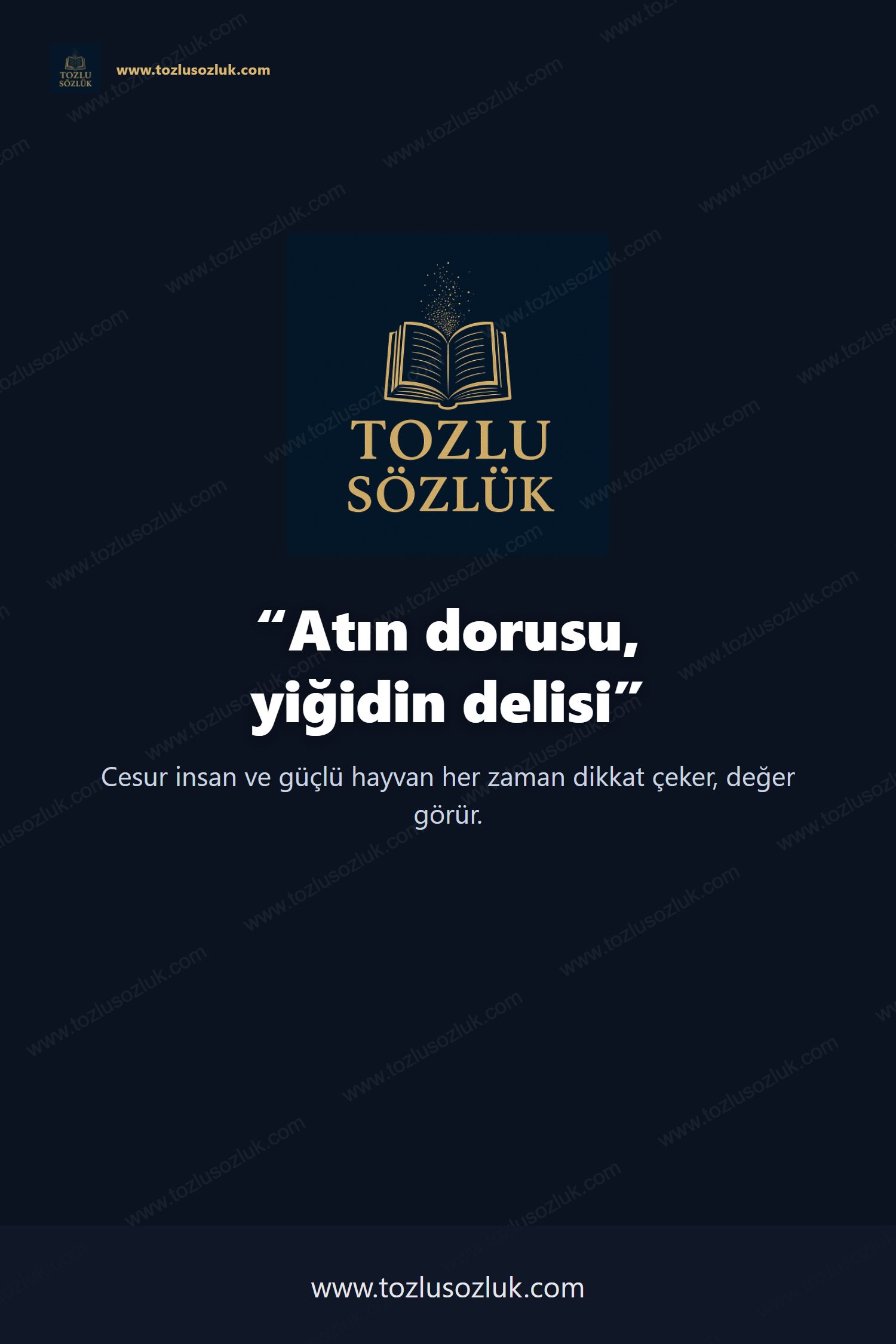 Atın dorusu, yiğidin delisi Pinterest görseli